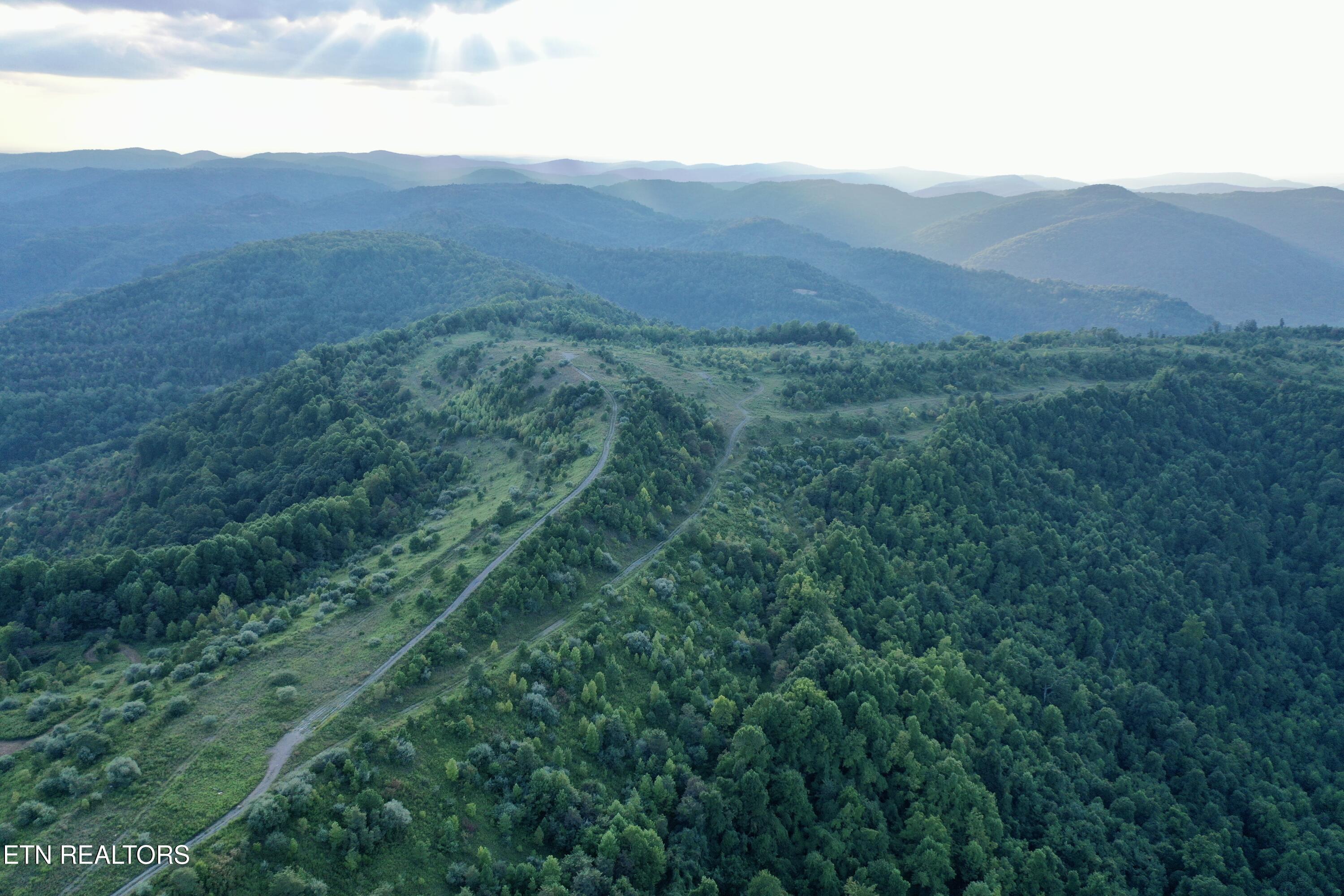 207 Lick Fork Lane Pioneer TN 37847