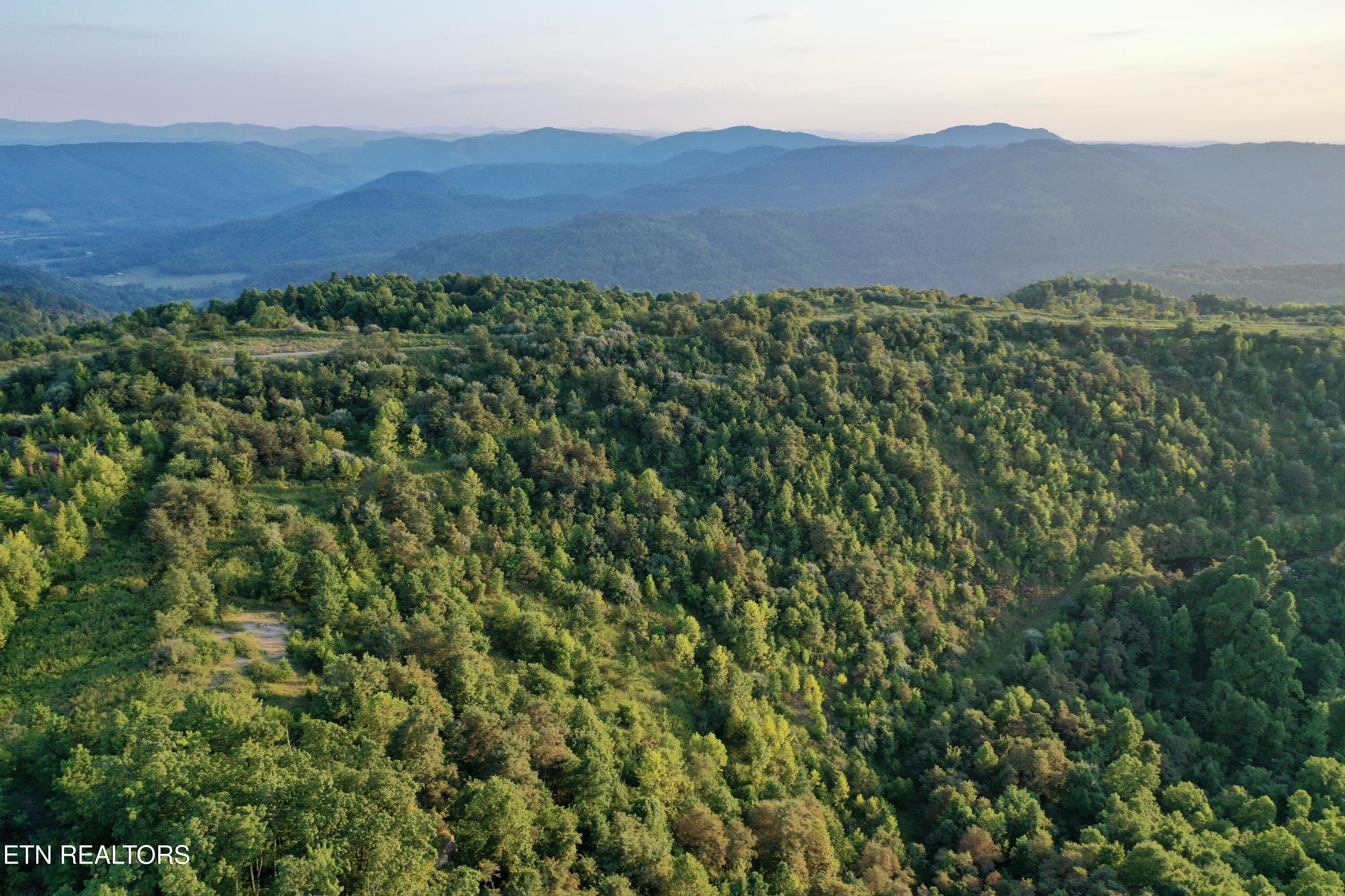 207 Lick Fork Lane Pioneer TN 37847