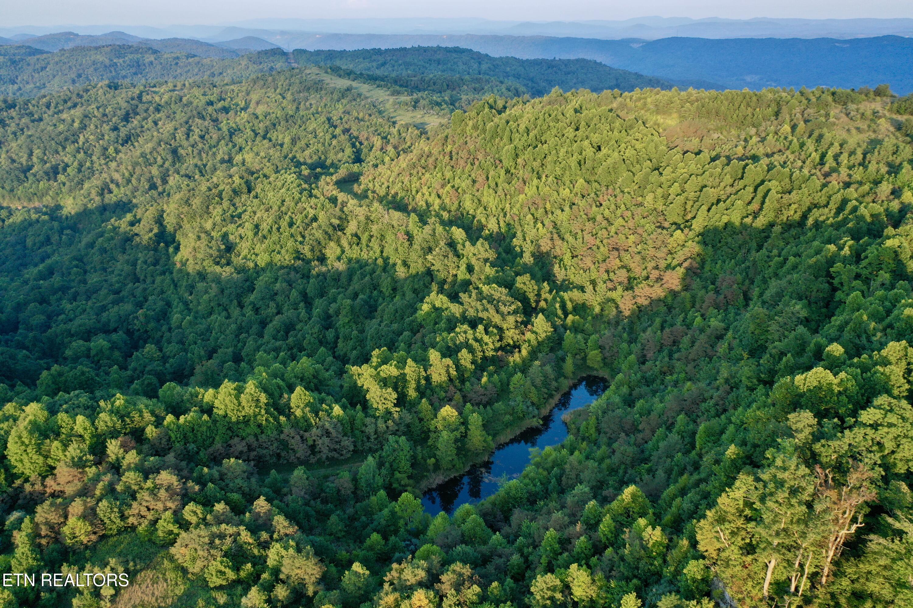207 Lick Fork Lane Pioneer TN 37847