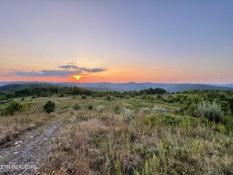207 Lick Fork Lane Pioneer TN 37847