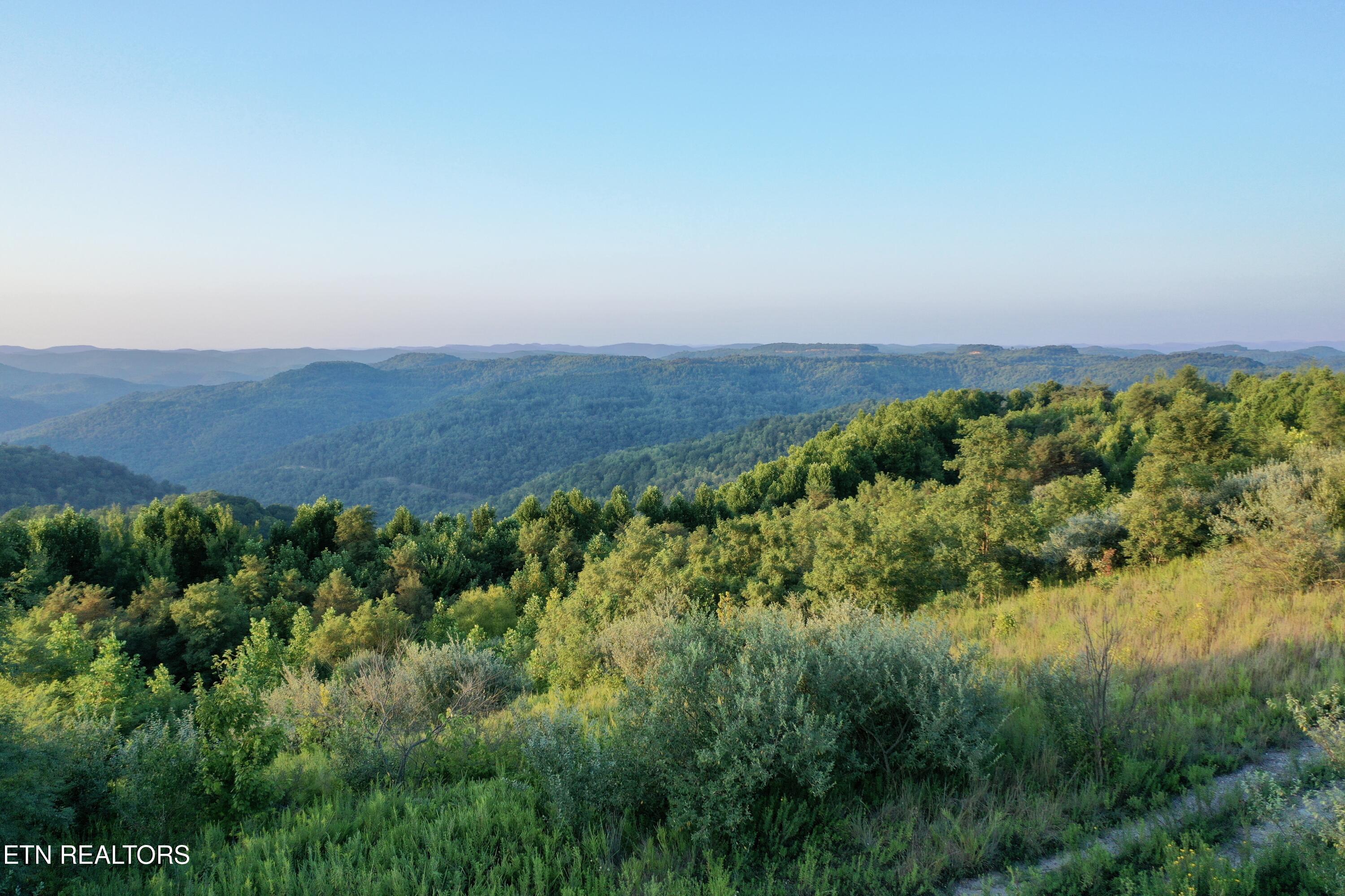 207 Lick Fork Lane Pioneer TN 37847