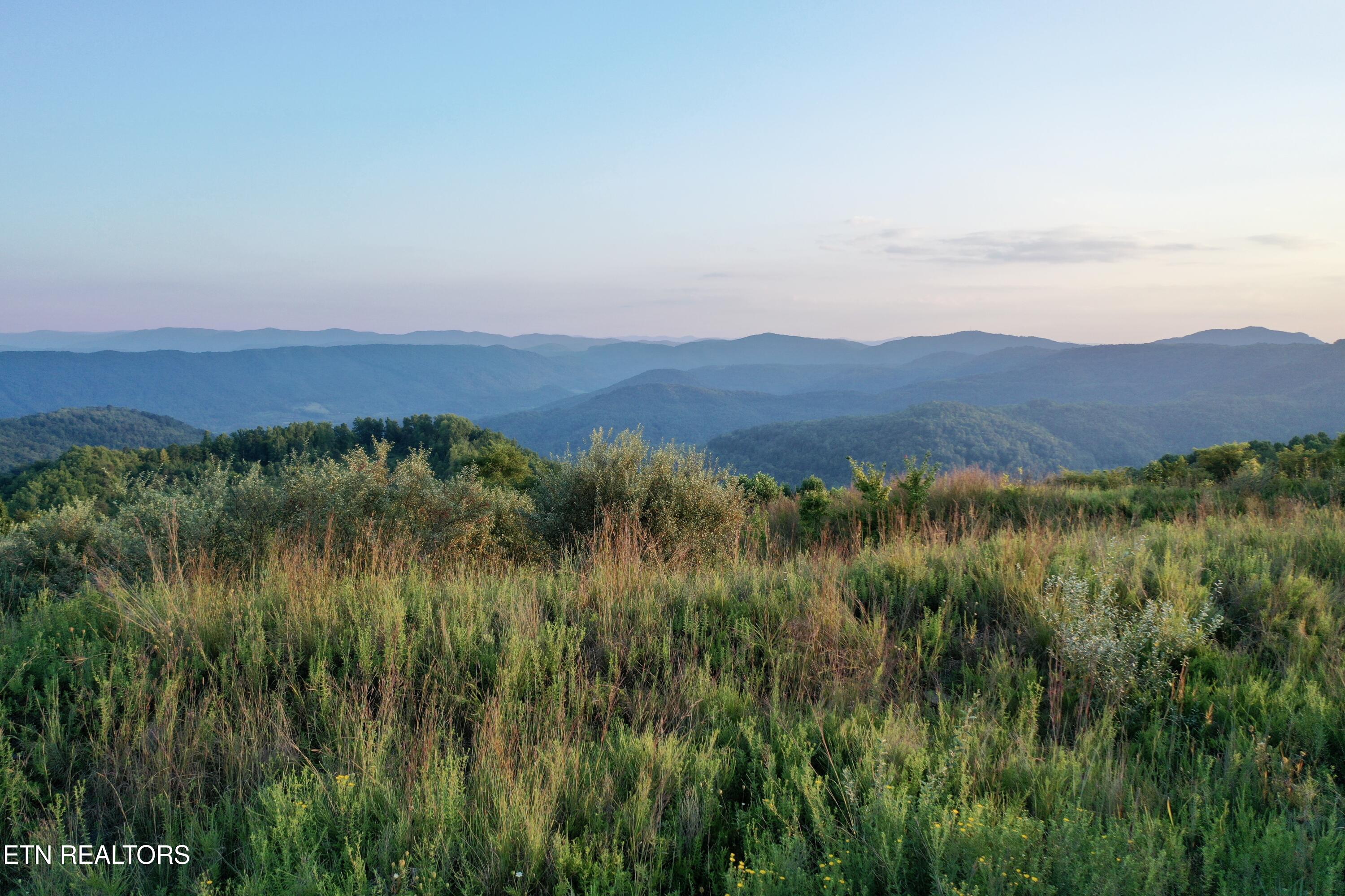 207 Lick Fork Lane Pioneer TN 37847