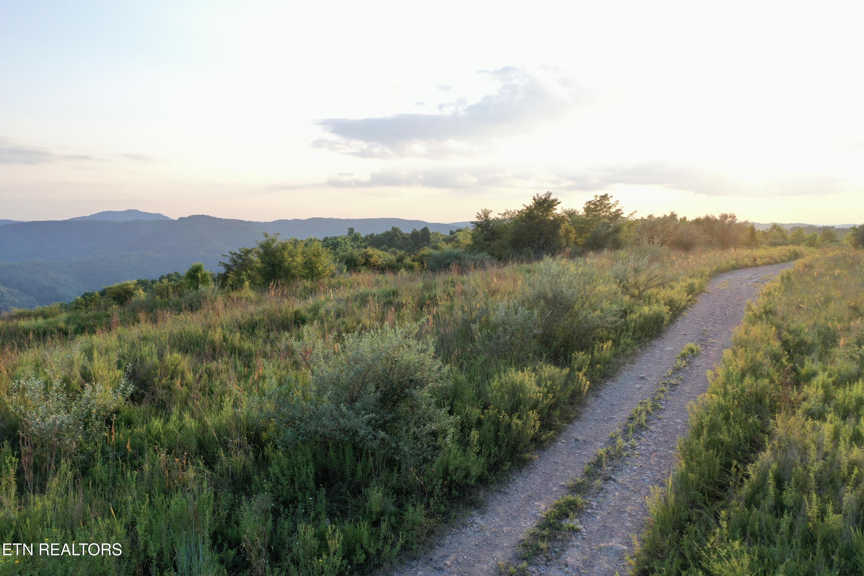 207 Lick Fork Lane Pioneer TN 37847