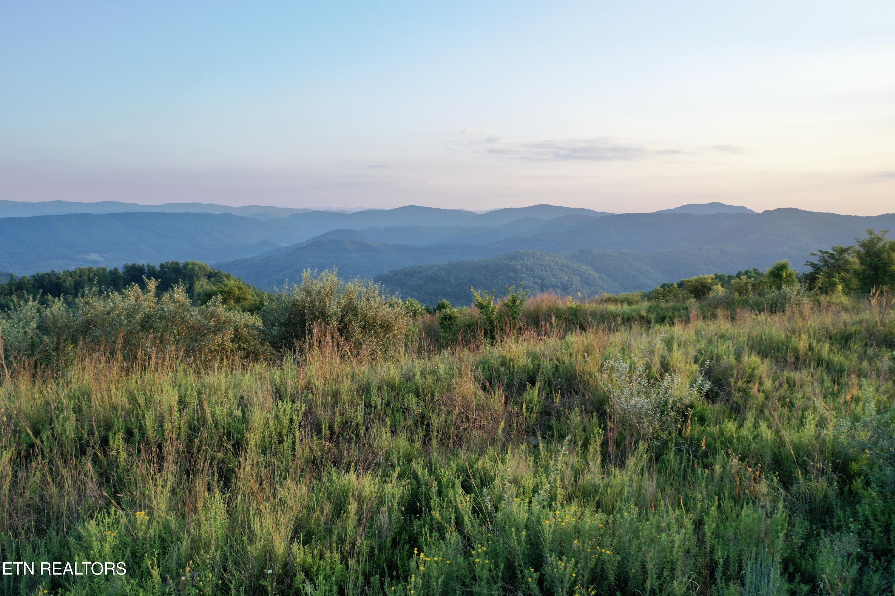 207 Lick Fork Lane Pioneer TN 37847
