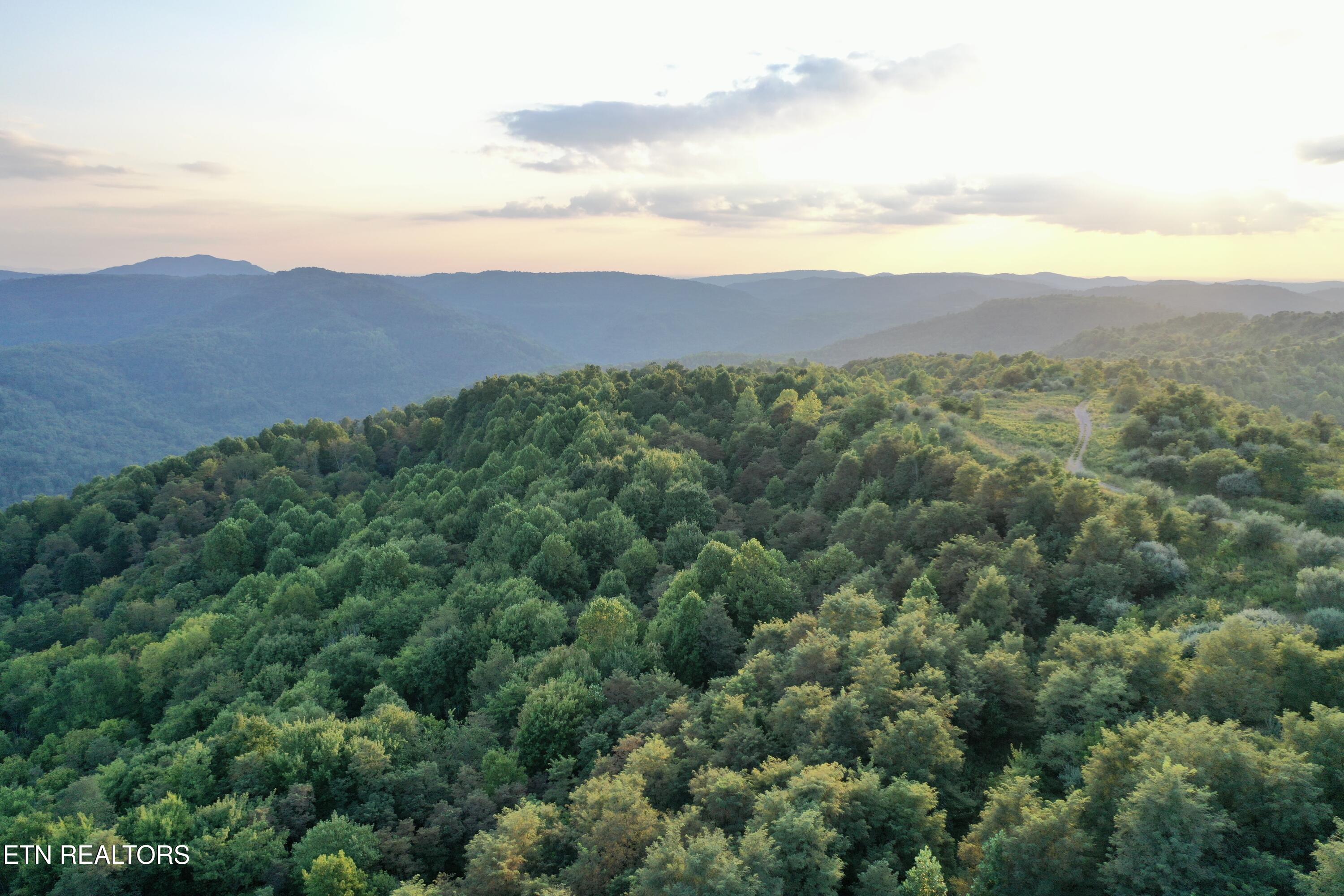 207 Lick Fork Lane Pioneer TN 37847