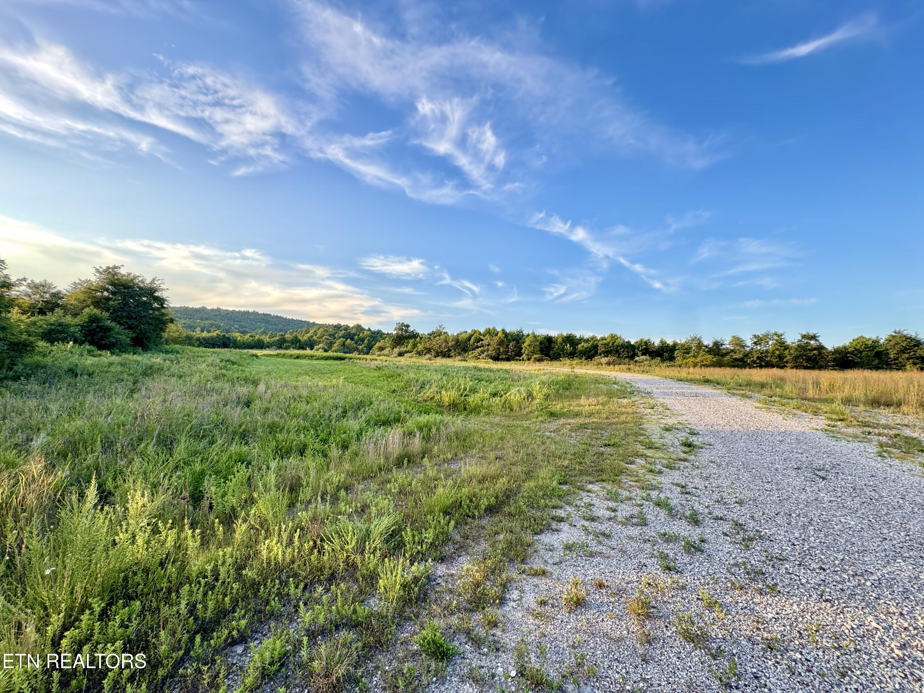 207 Lick Fork Lane Pioneer TN 37847