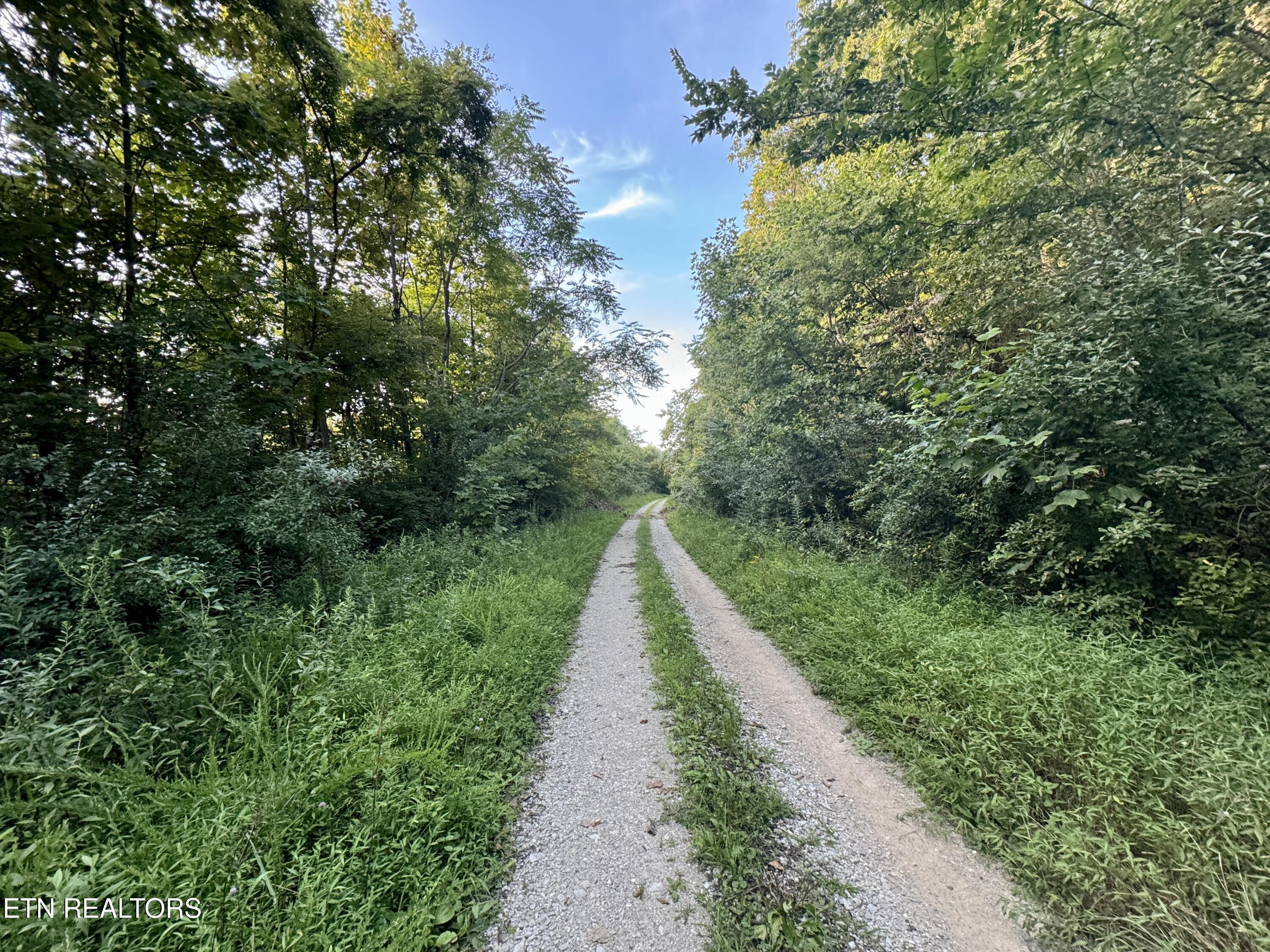 207 Lick Fork Lane Pioneer TN 37847