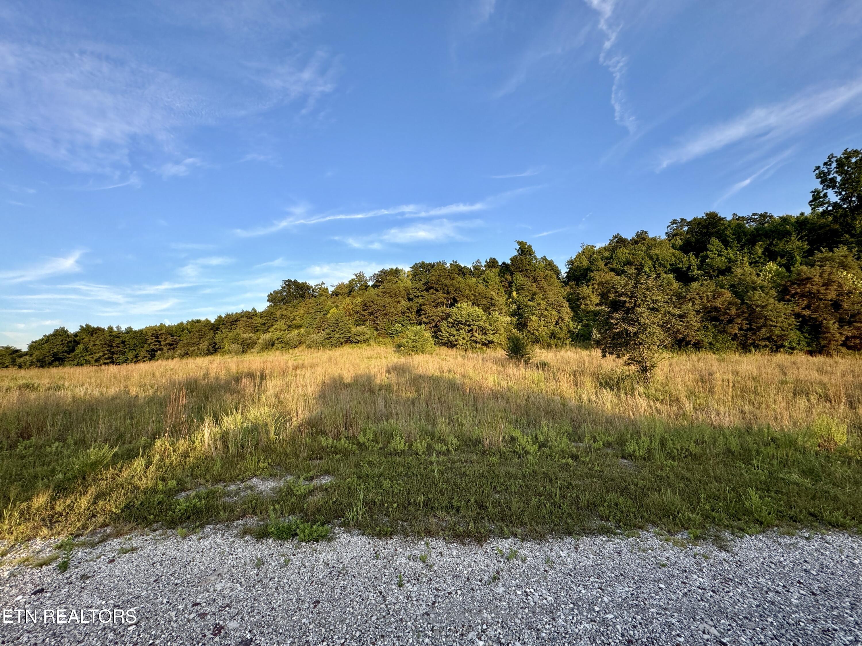 207 Lick Fork Lane Pioneer TN 37847