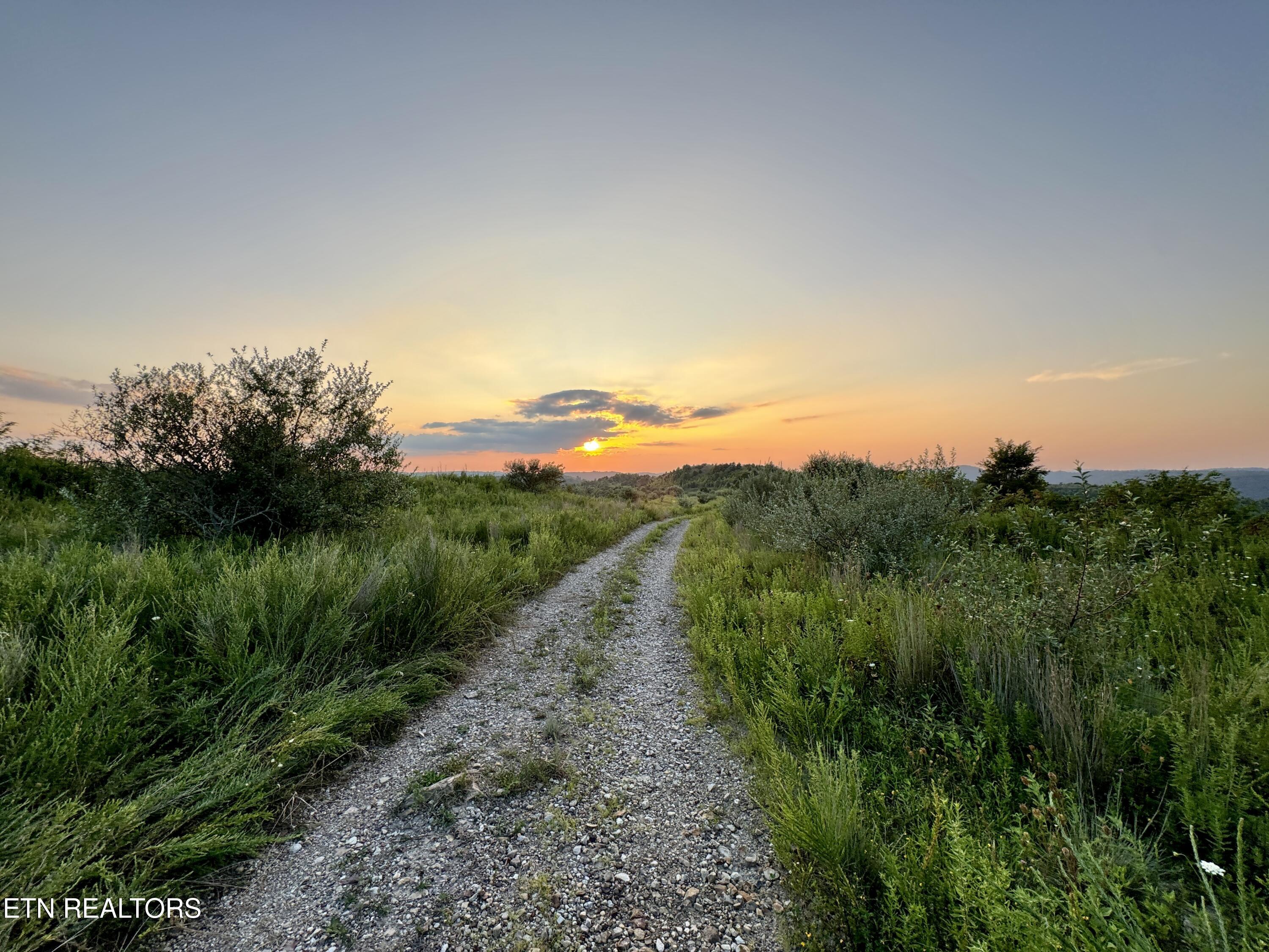 207 Lick Fork Lane Pioneer TN 37847