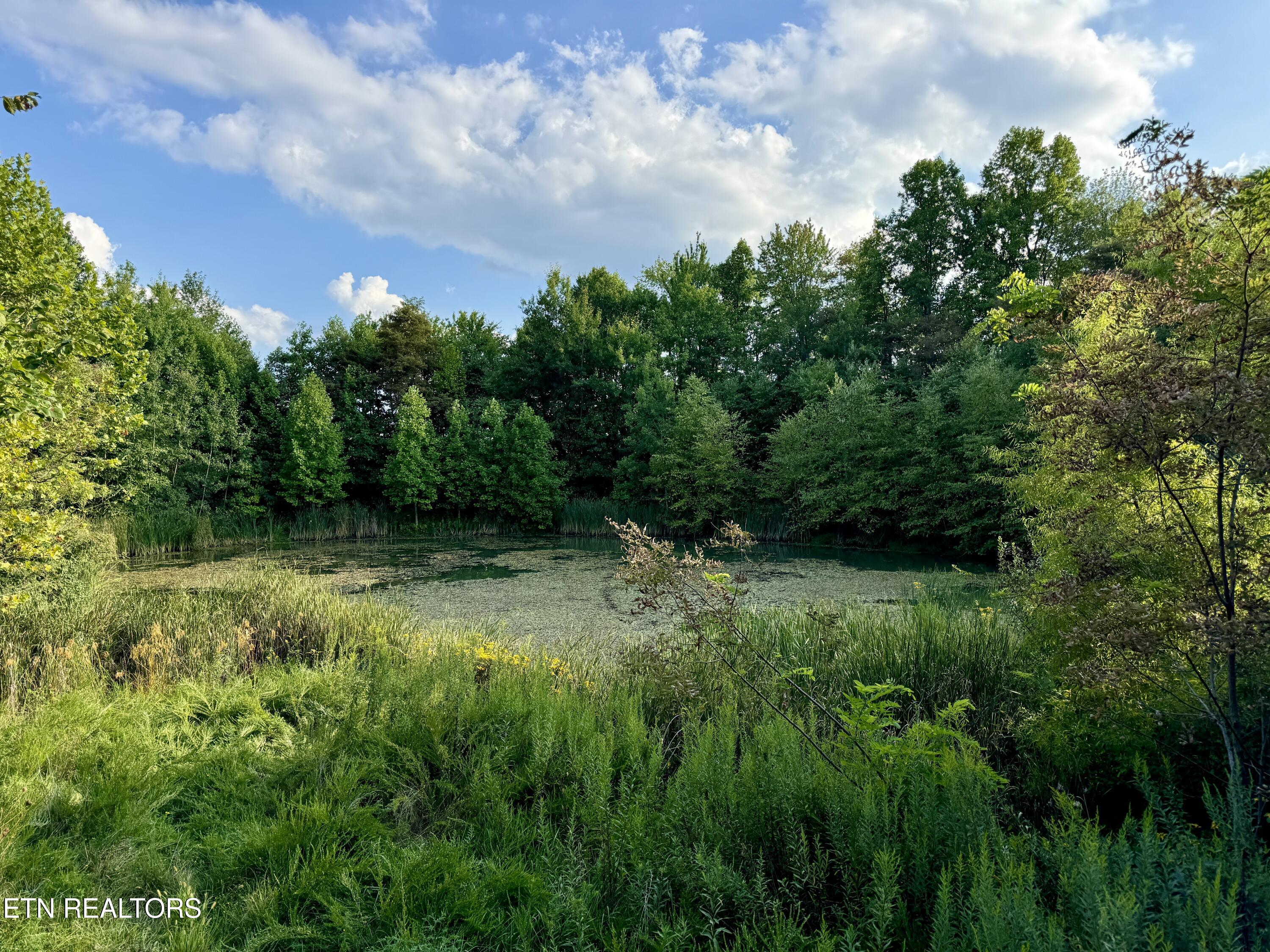 207 Lick Fork Lane Pioneer TN 37847