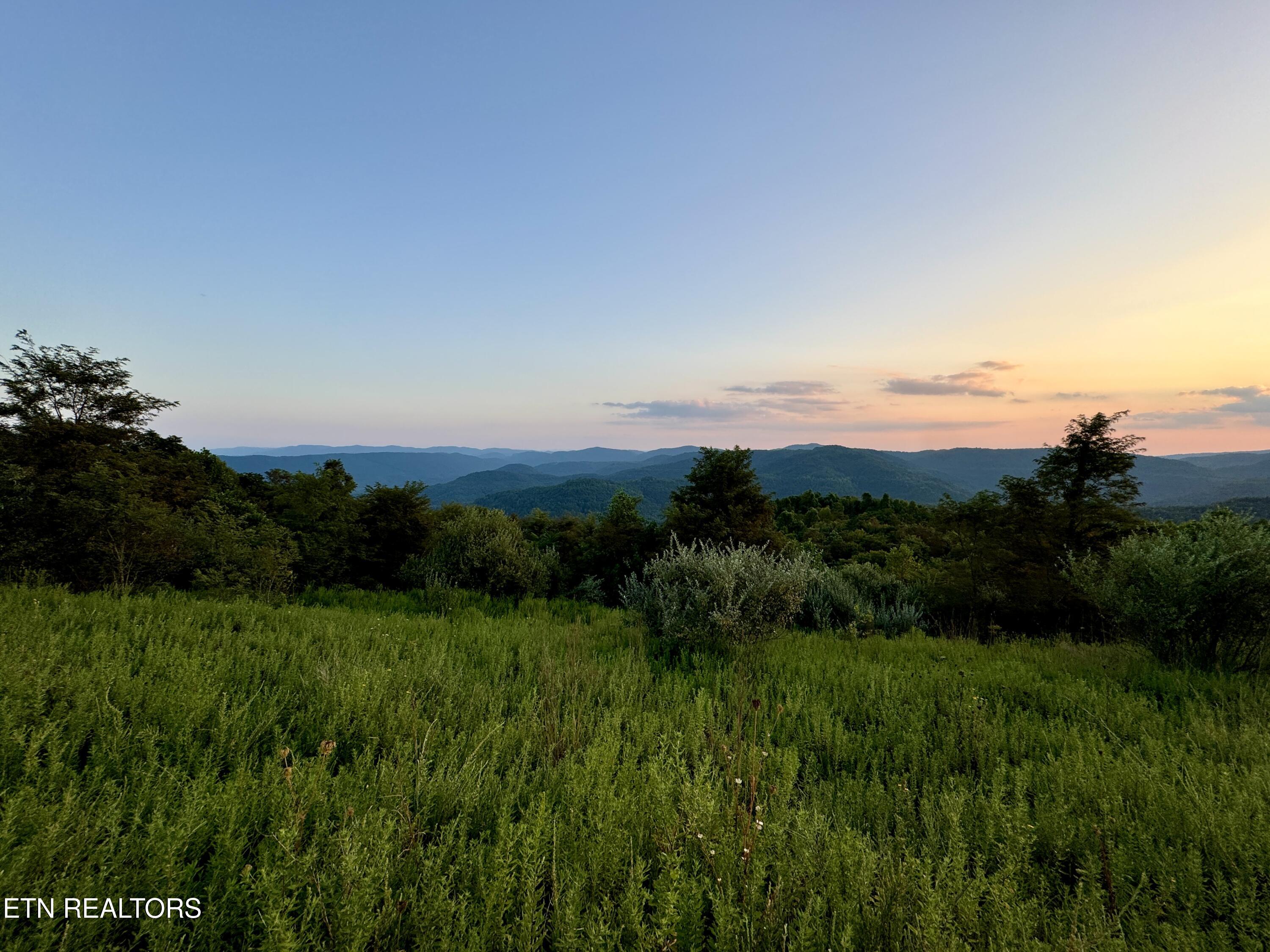 207 Lick Fork Lane Pioneer TN 37847