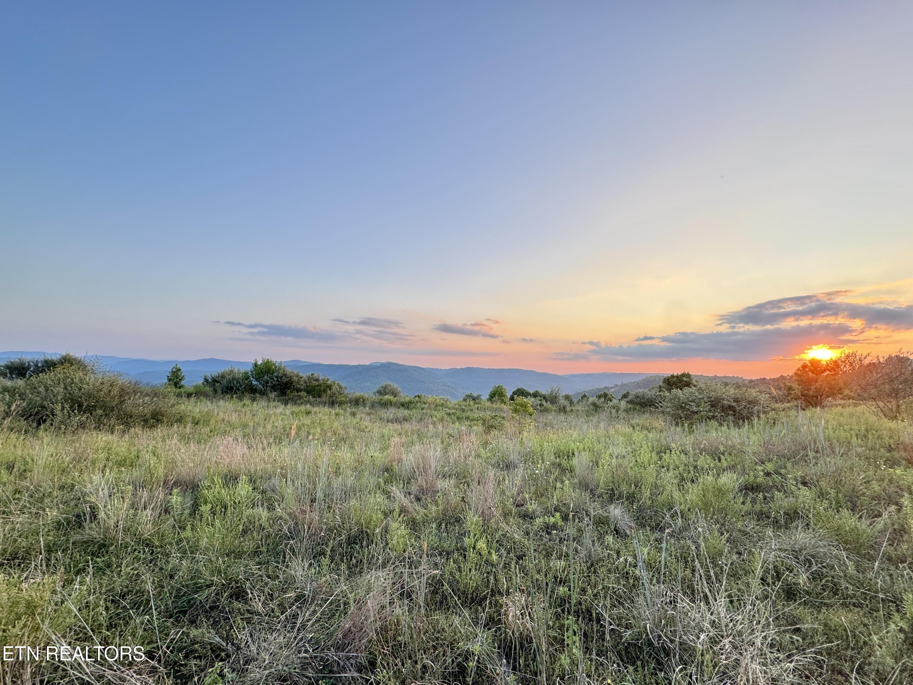 207 Lick Fork Lane Pioneer TN 37847