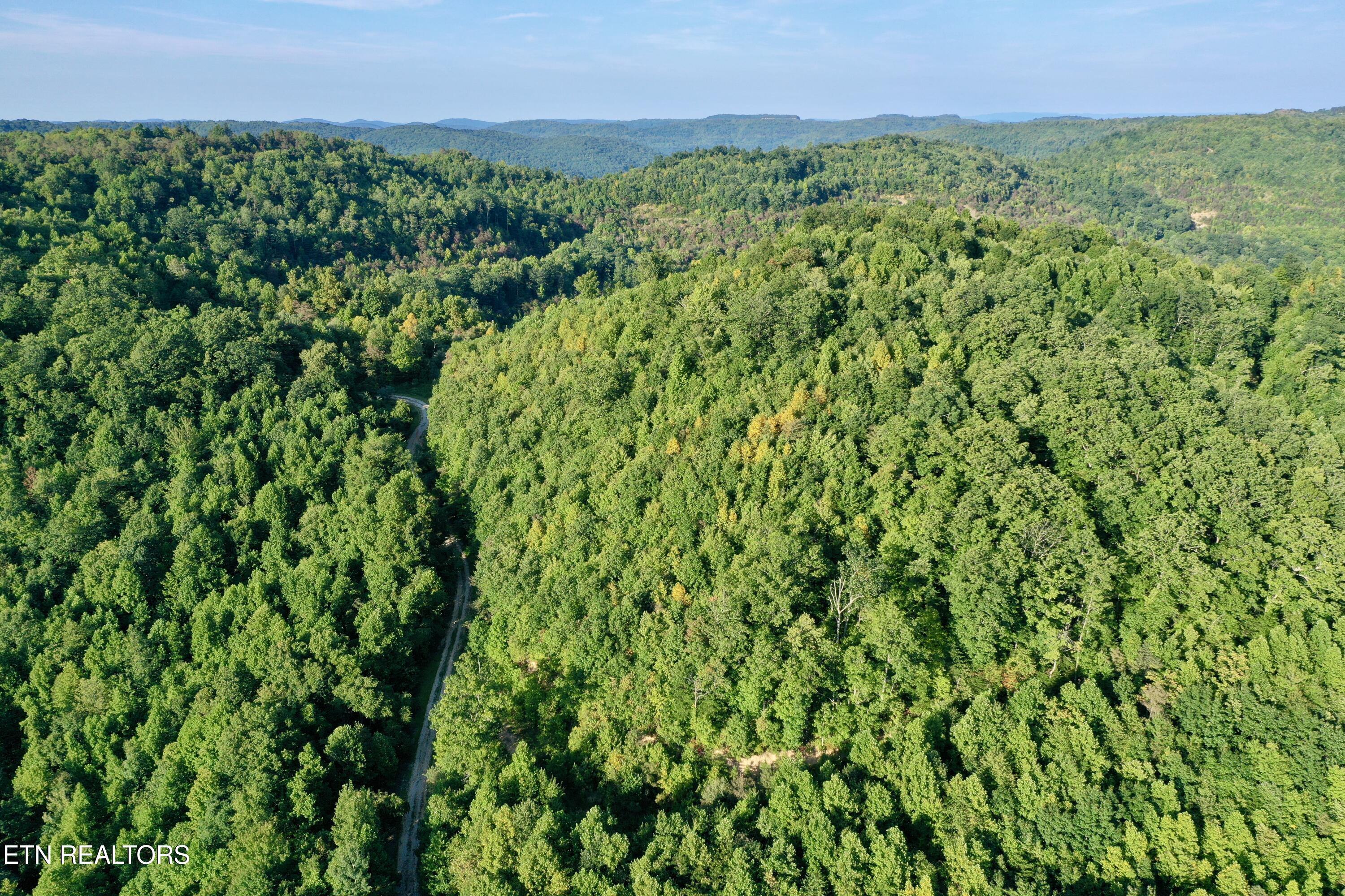 207 Lick Fork Lane Pioneer TN 37847