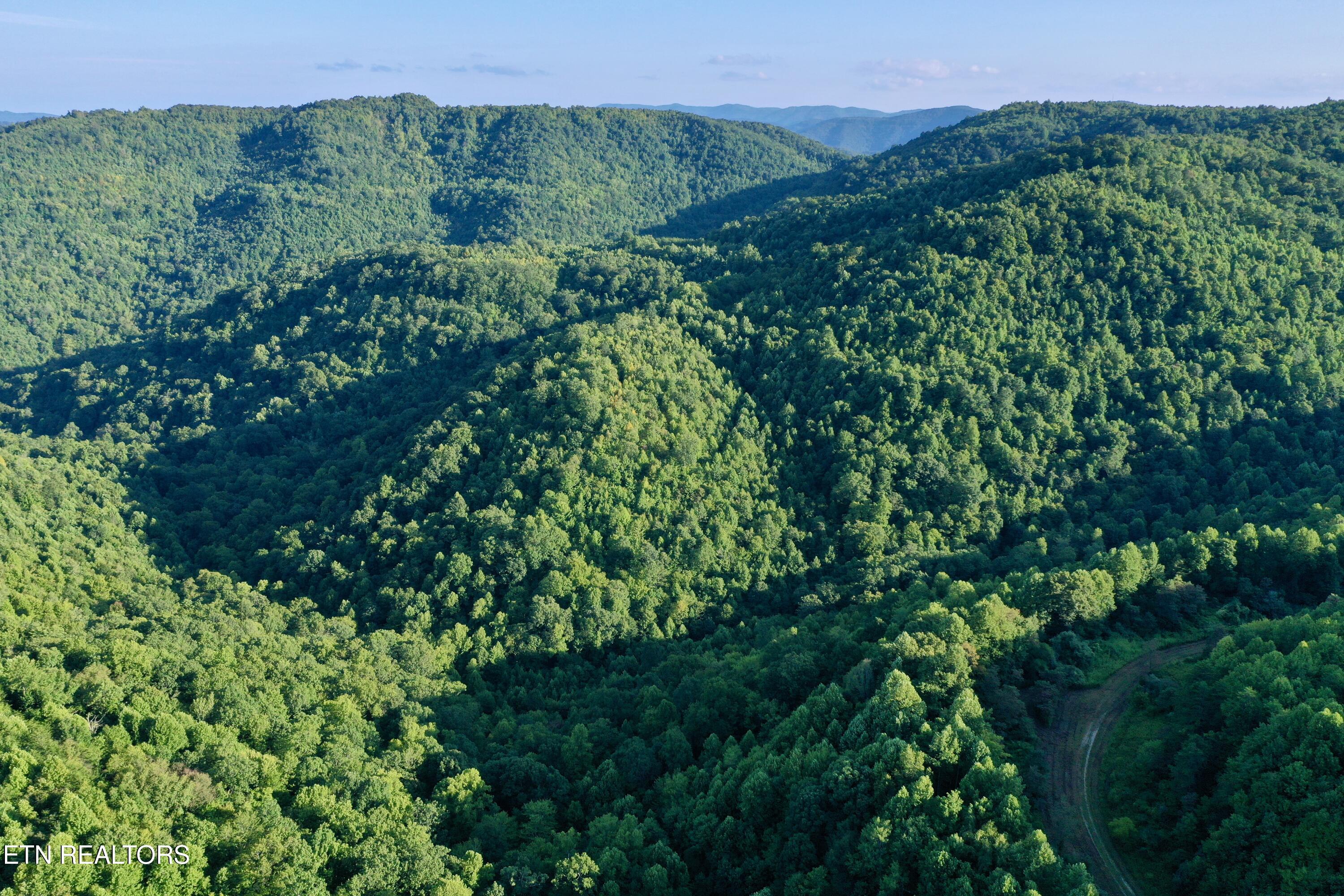 207 Lick Fork Lane Pioneer TN 37847