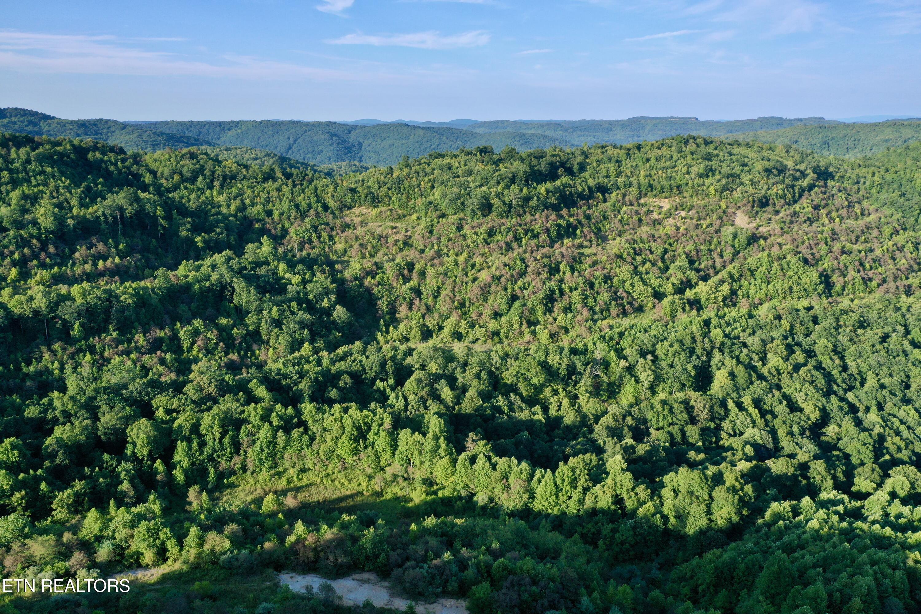 207 Lick Fork Lane Pioneer TN 37847