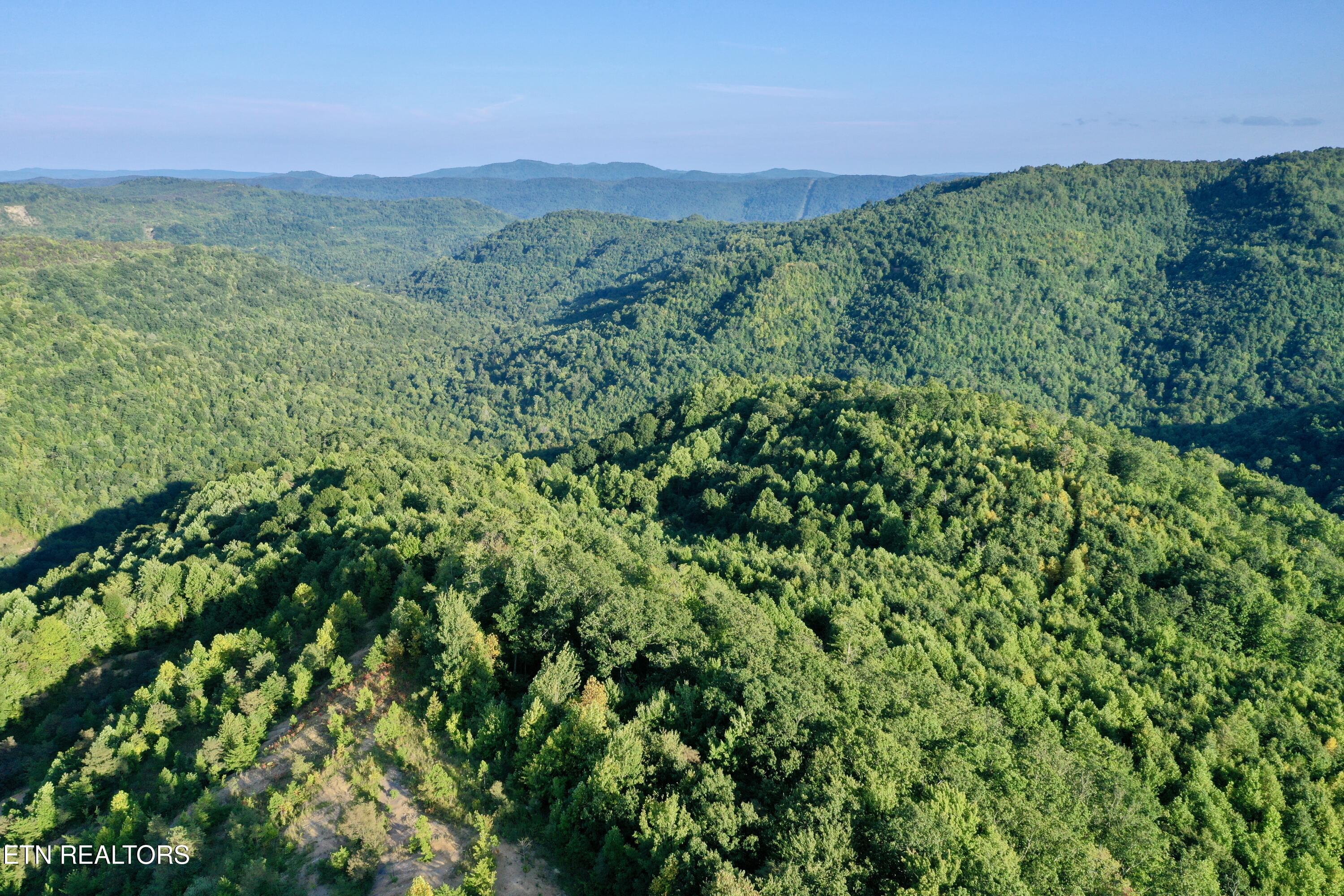 207 Lick Fork Lane Pioneer TN 37847