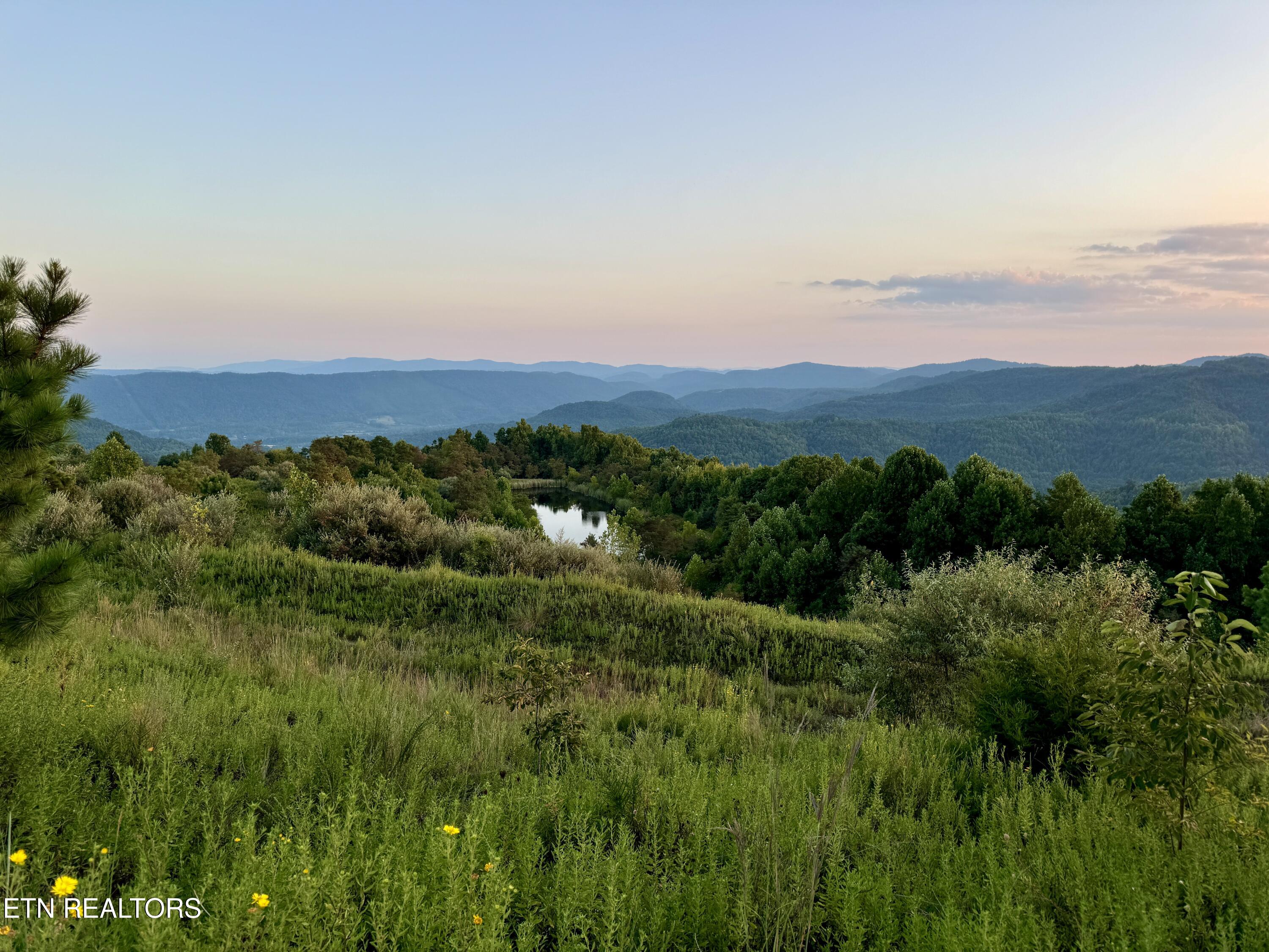 207 Lick Fork Lane Pioneer TN 37847