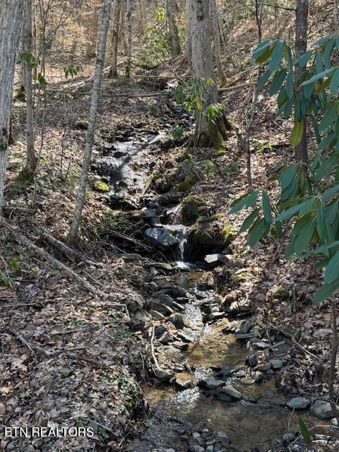 Cougar Trail Del Rio TN 37727