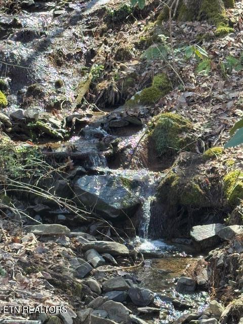 Cougar Trail Del Rio TN 37727