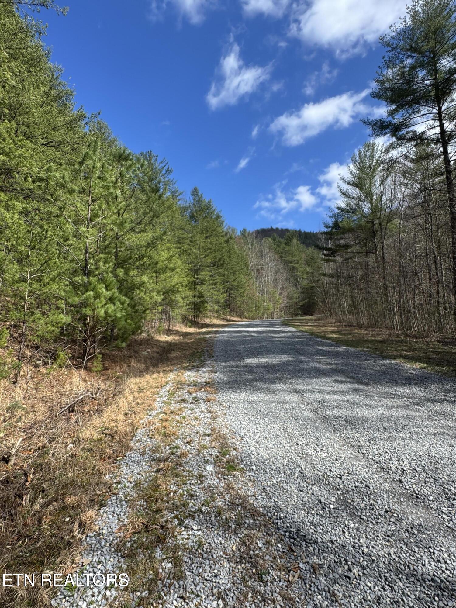 Cougar Trail Del Rio TN 37727