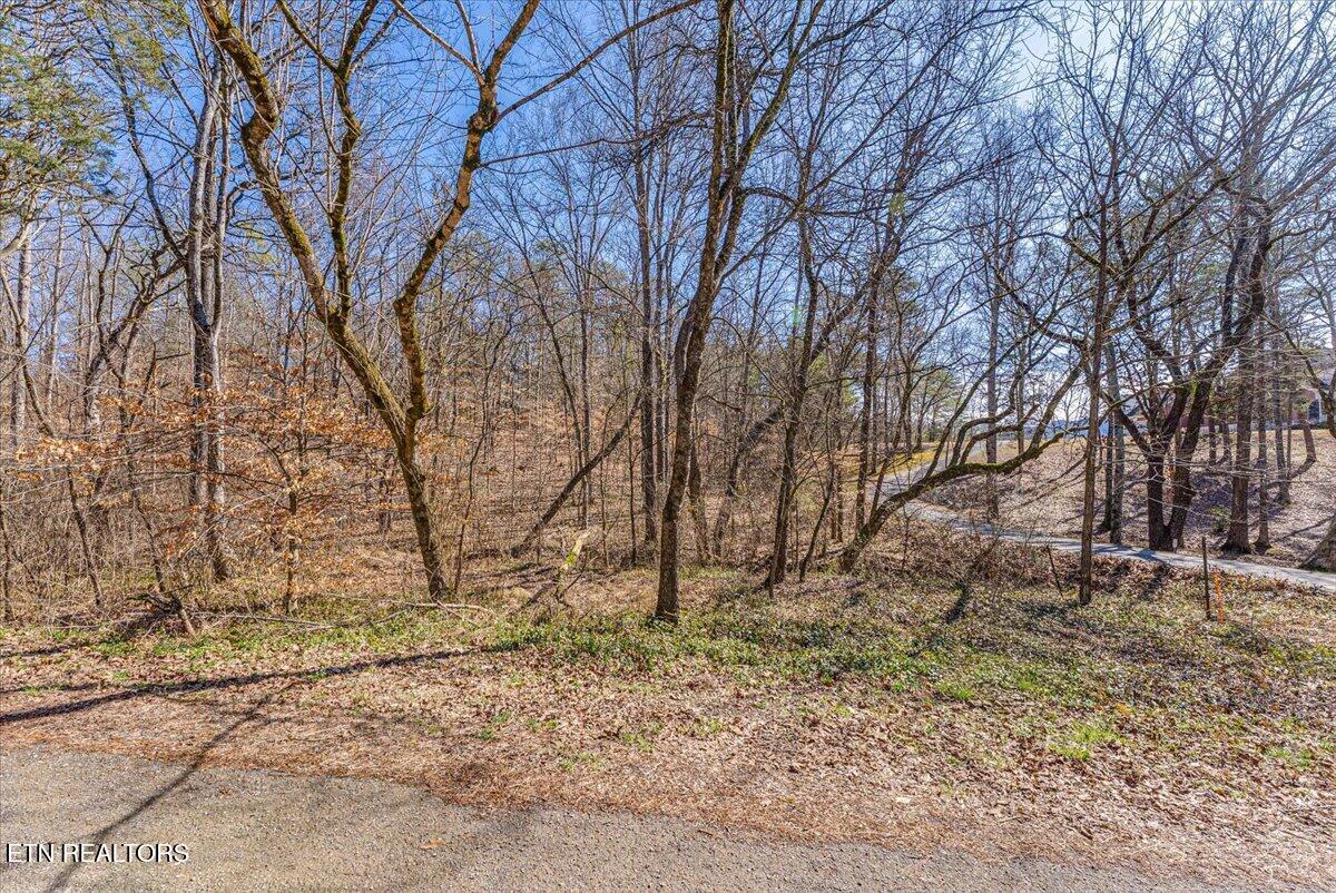 Country Lane Walland TN 37886