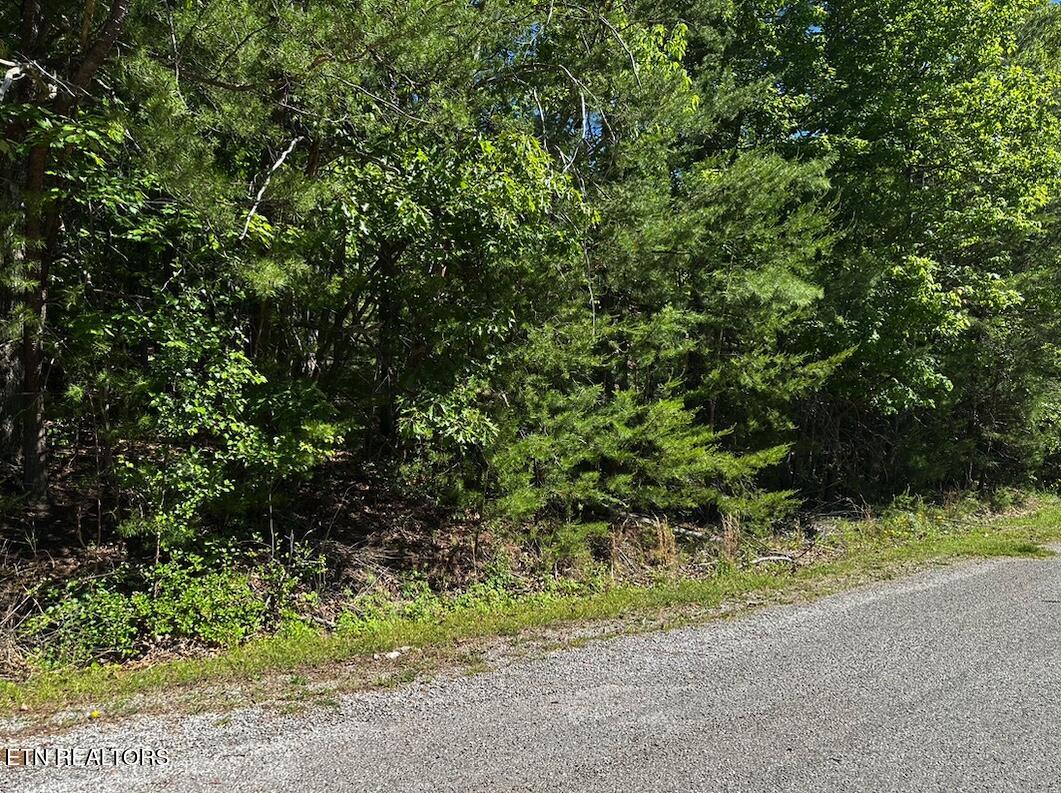 16 Norwood Place Crossville TN 38558