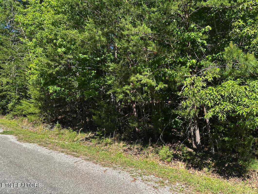 16 Norwood Place Crossville TN 38558