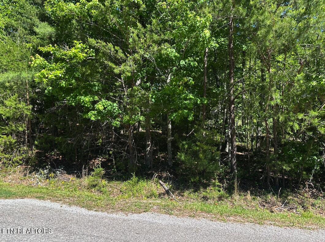16 Norwood Place Crossville TN 38558