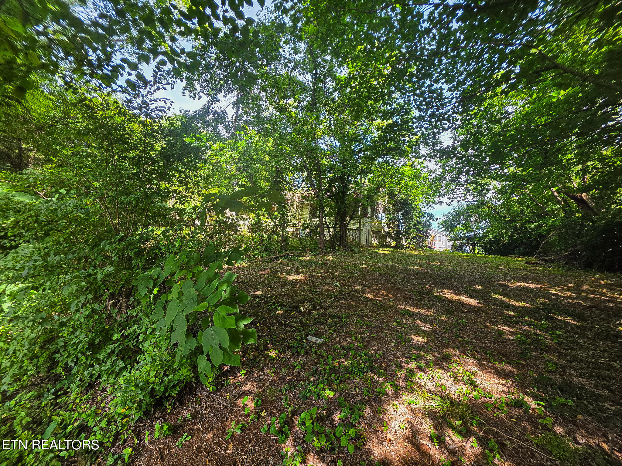 7120 Terry Drive Knoxville TN 37924