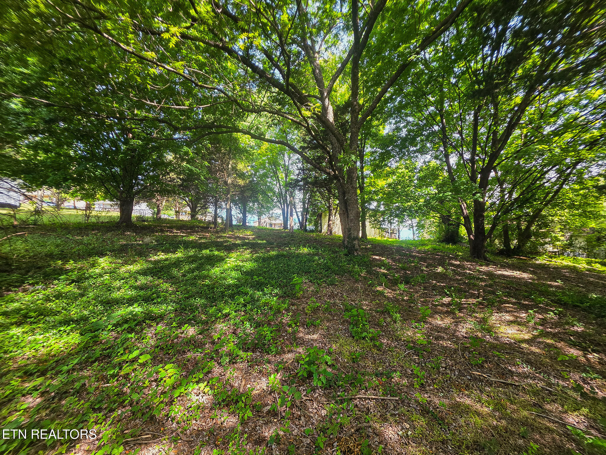 7120 Terry Drive Knoxville TN 37924