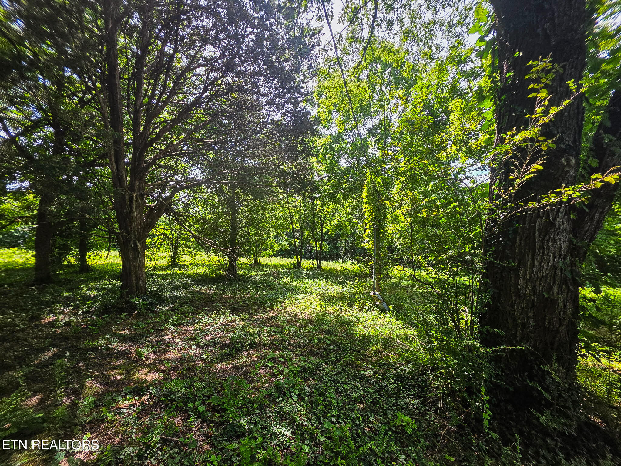 7120 Terry Drive Knoxville TN 37924