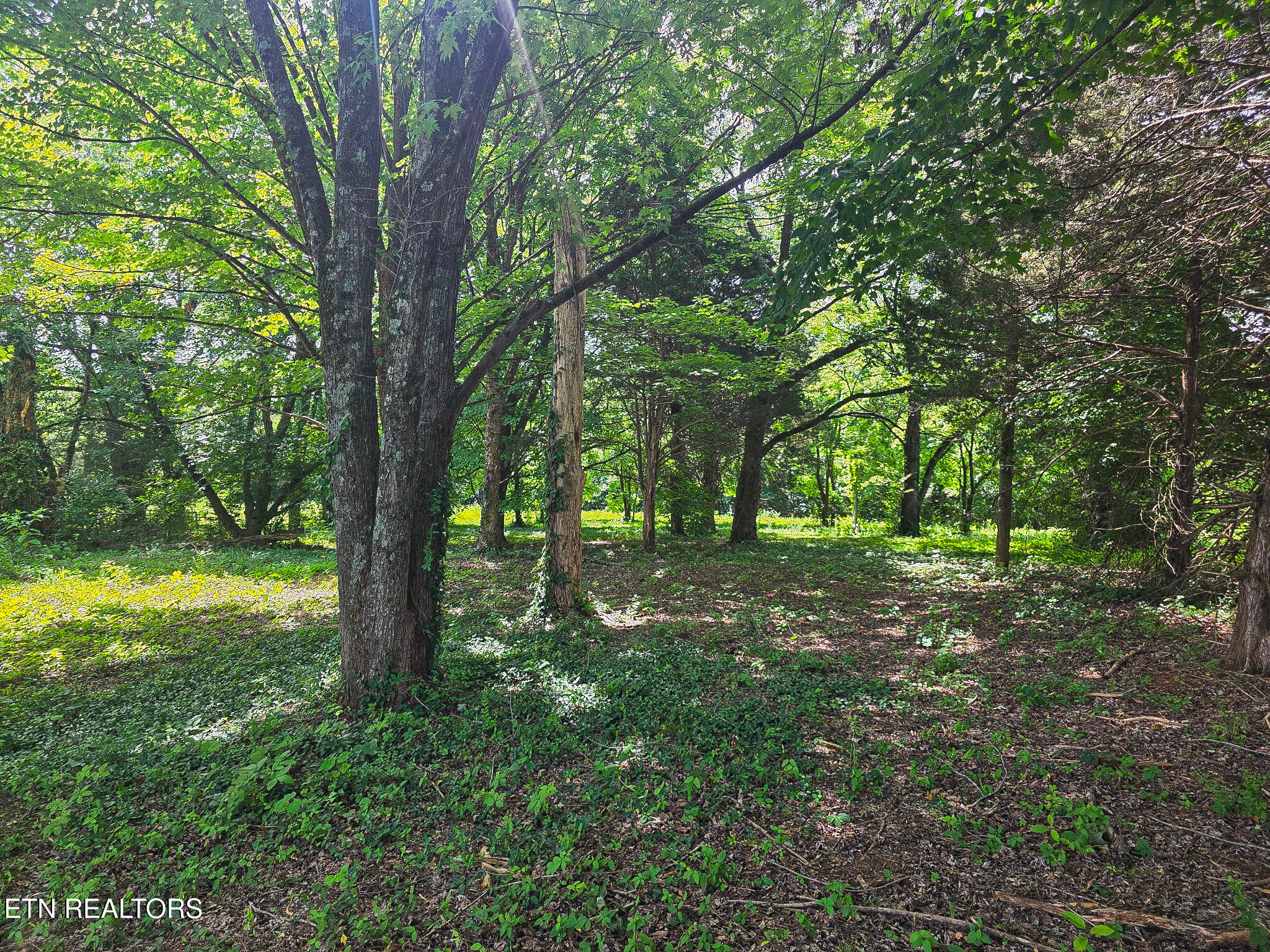 7120 Terry Drive Knoxville TN 37924