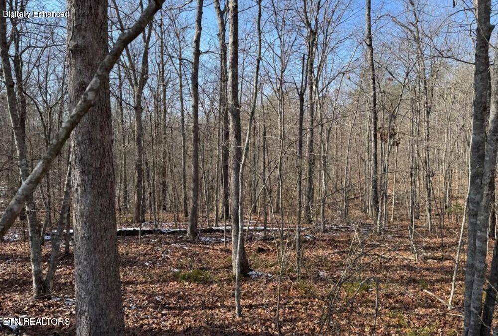 Belmont Circle Monterey TN 38574