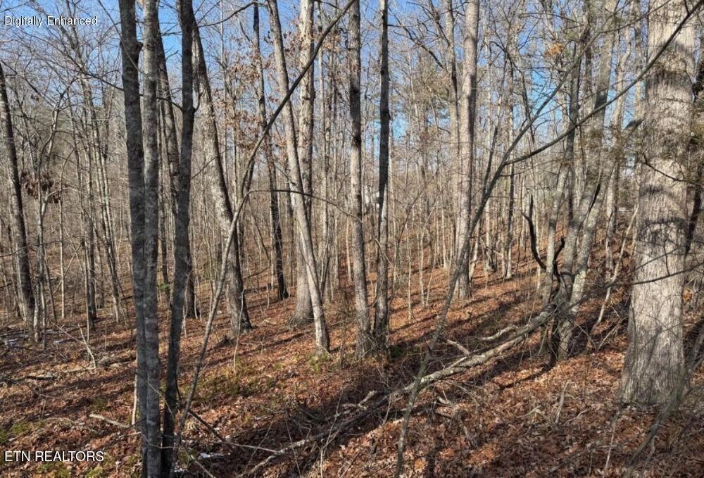 Belmont Circle Monterey TN 38574
