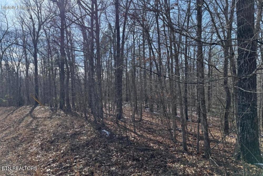 Belmont Circle Monterey TN 38574