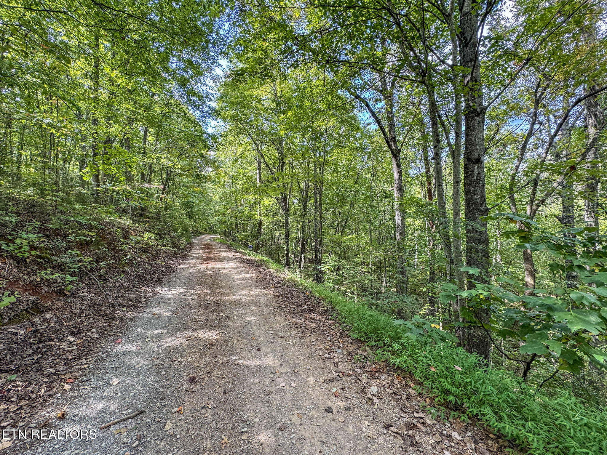 552 New Providence Road Tellico Plains TN 37385