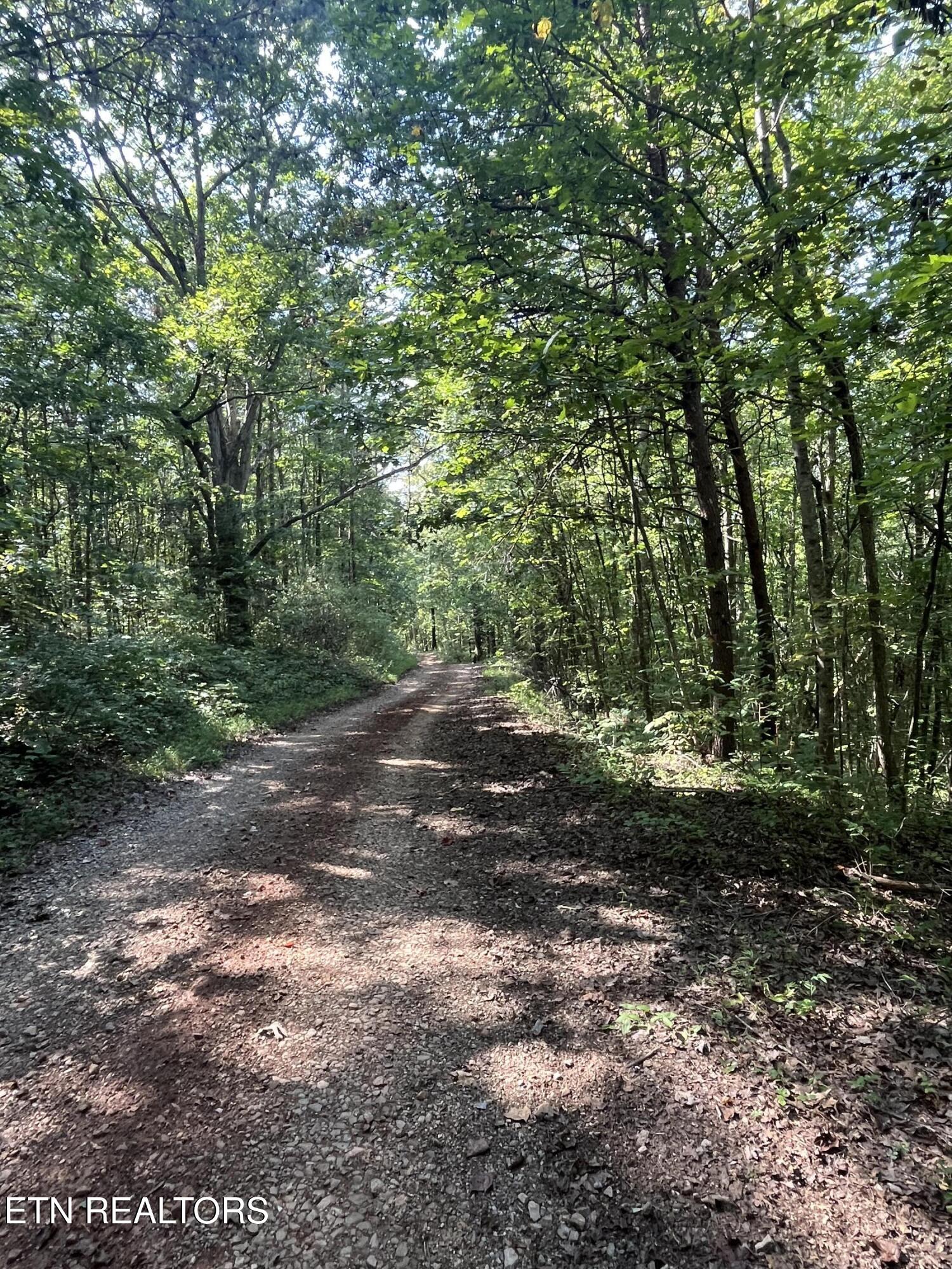 552 New Providence Road Tellico Plains TN 37385