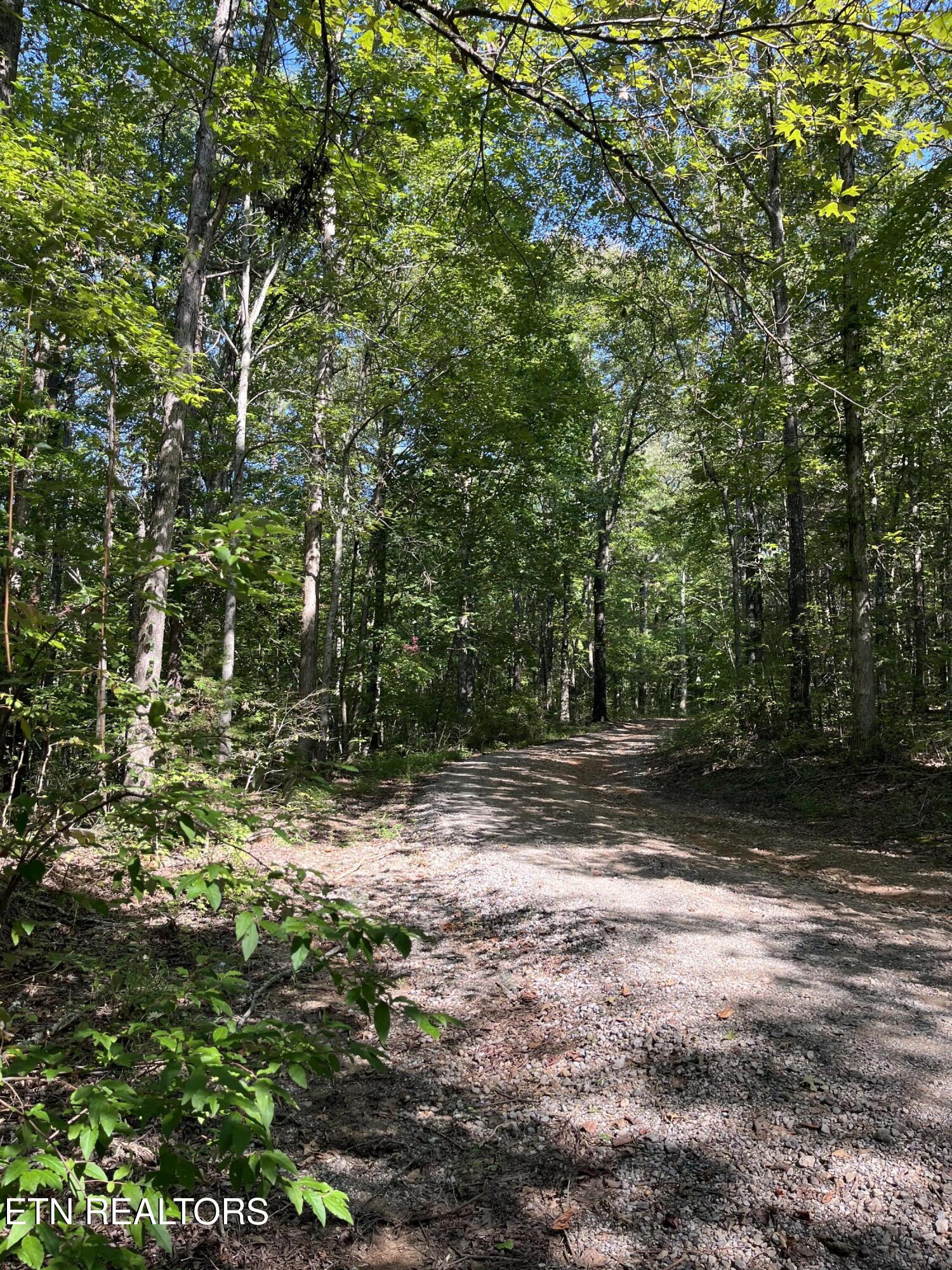 552 New Providence Road Tellico Plains TN 37385