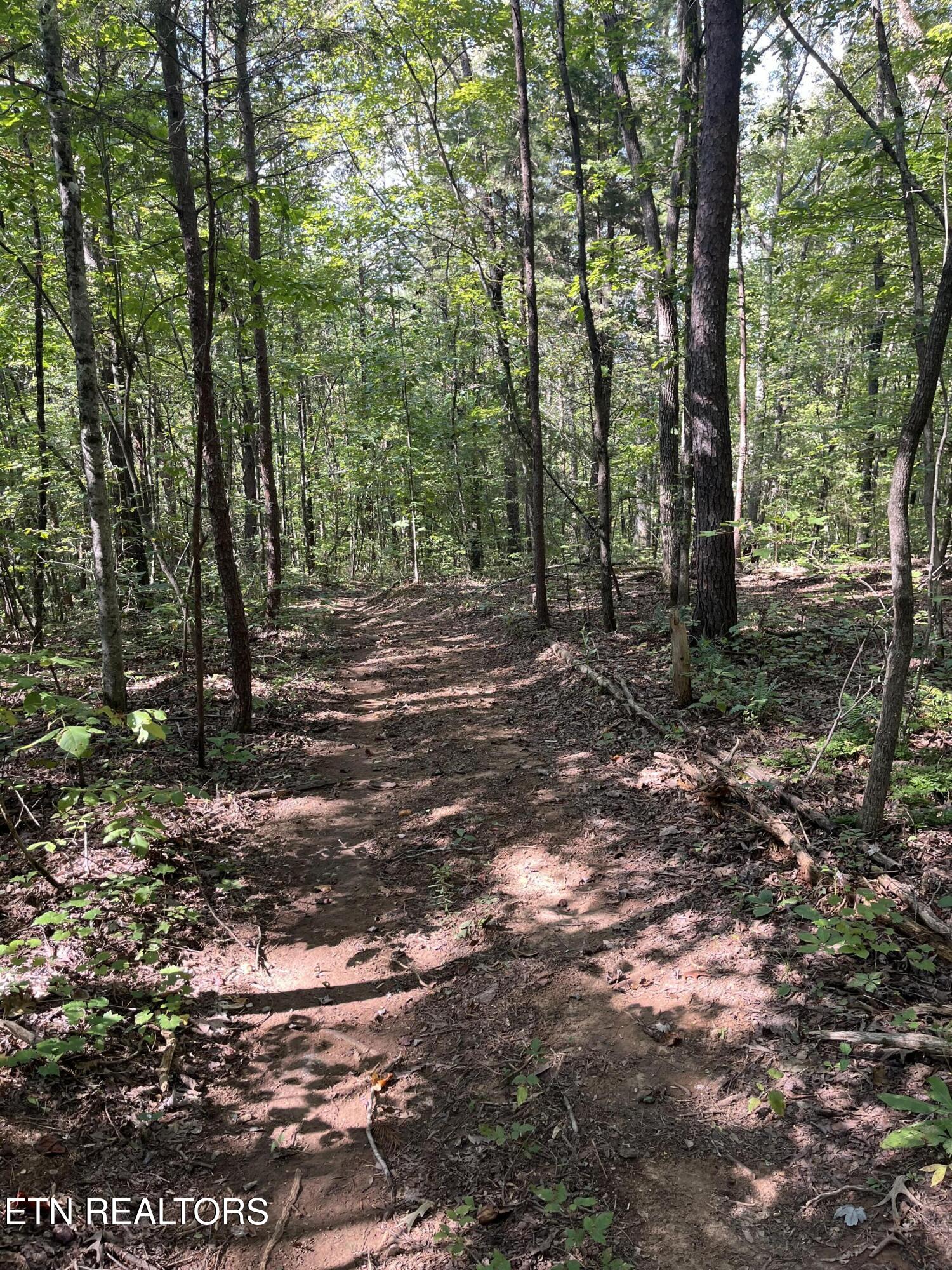 552 New Providence Road Tellico Plains TN 37385