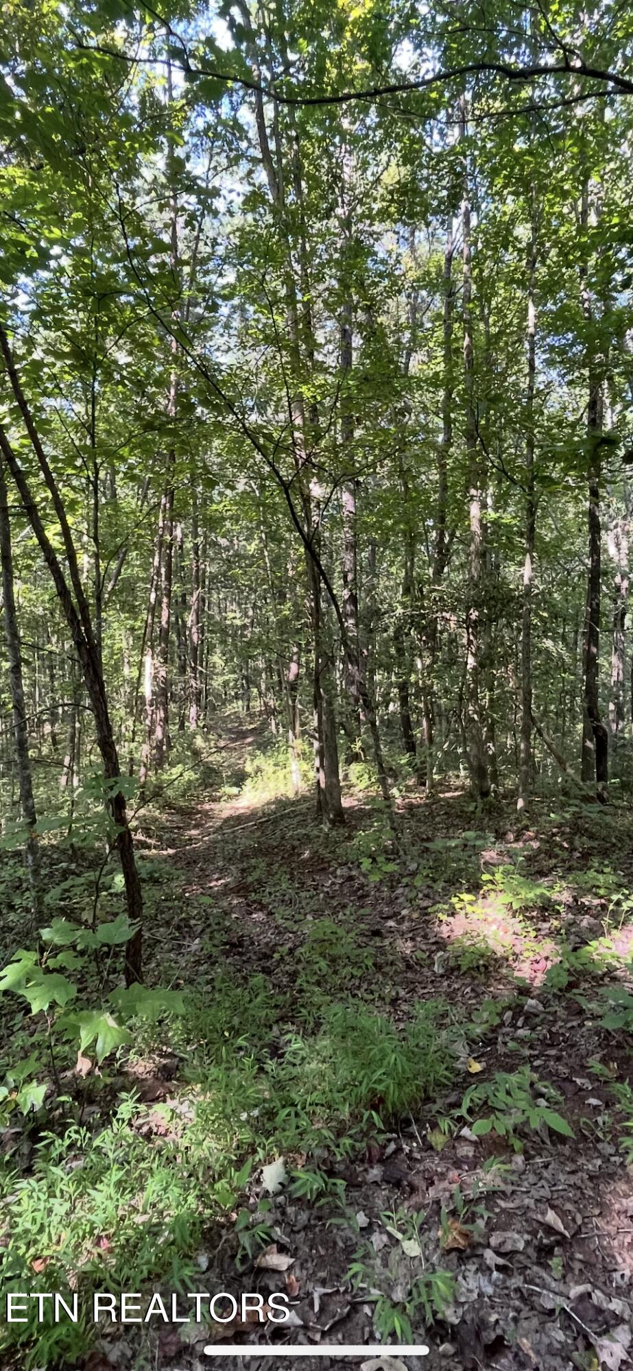 552 New Providence Road Tellico Plains TN 37385