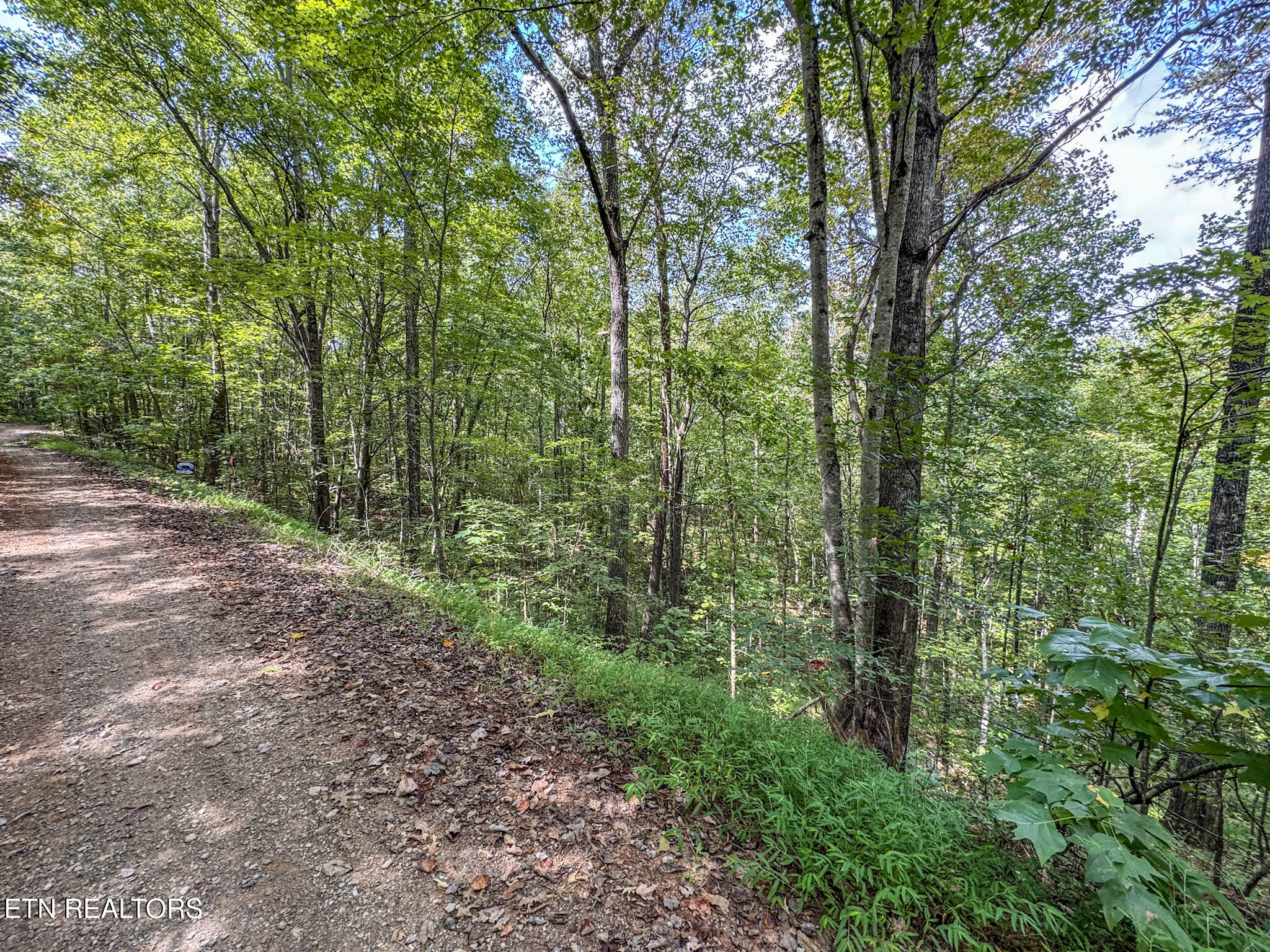 552 New Providence Road Tellico Plains TN 37385