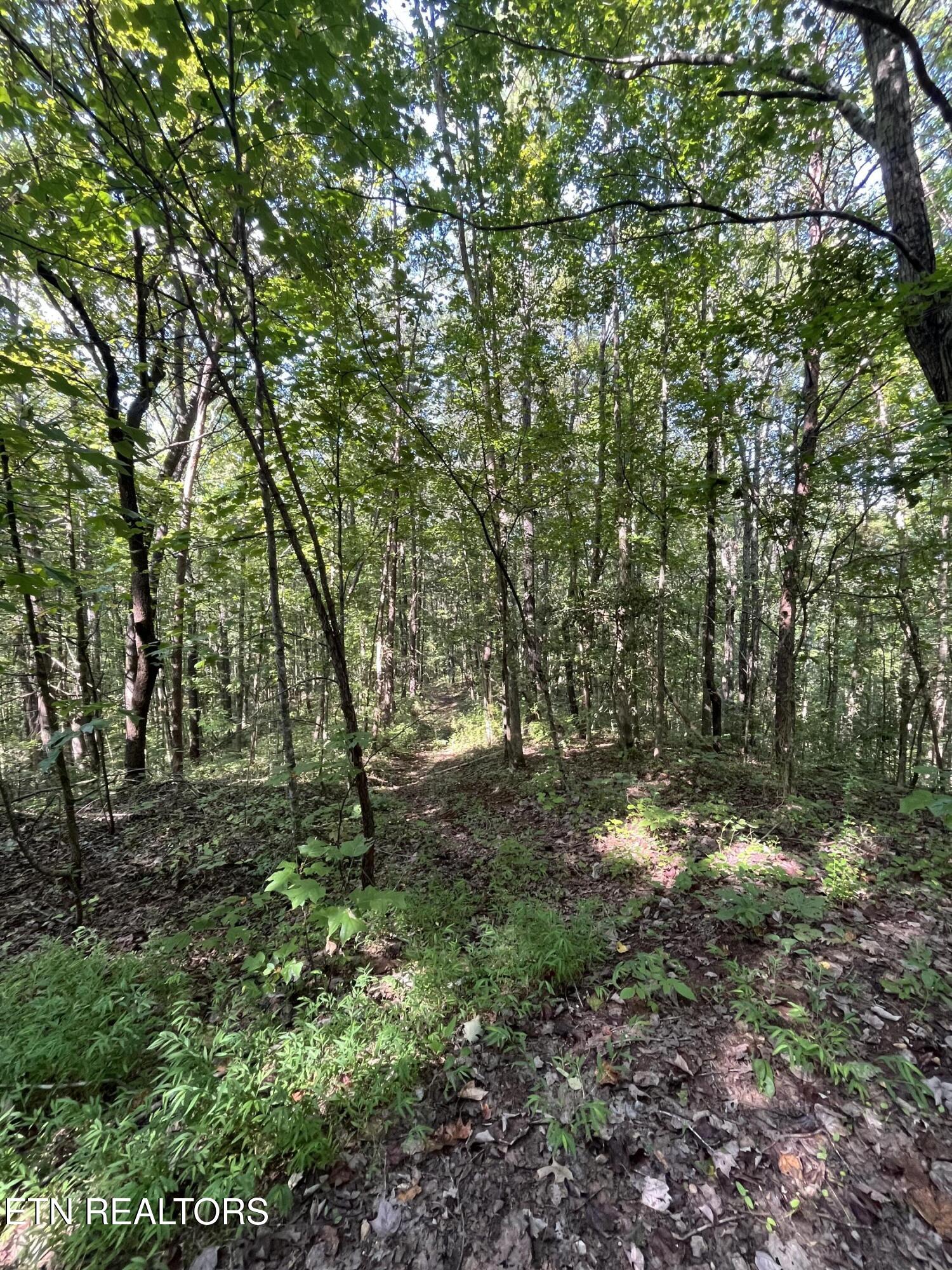 552 New Providence Road Tellico Plains TN 37385