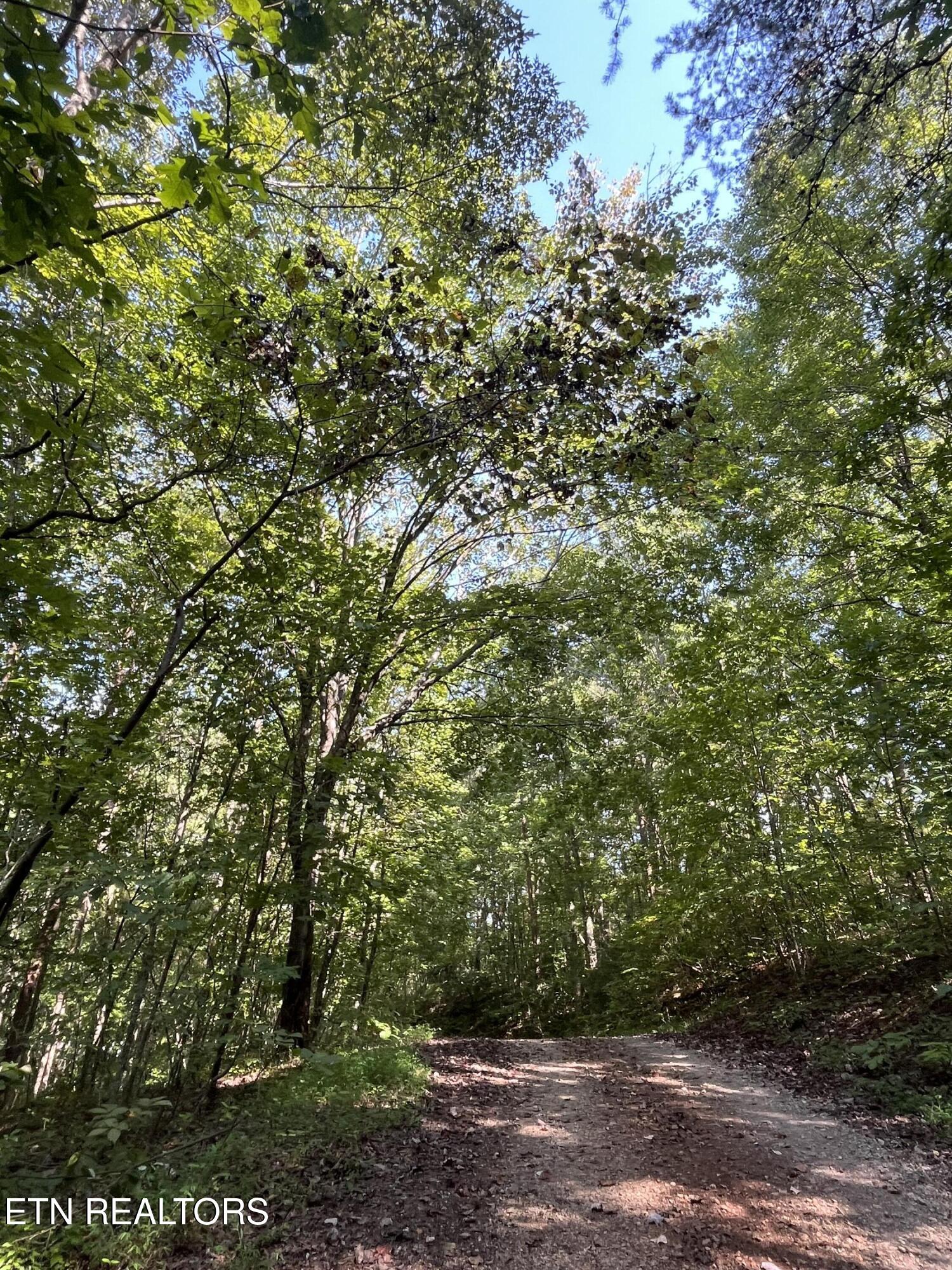 552 New Providence Road Tellico Plains TN 37385