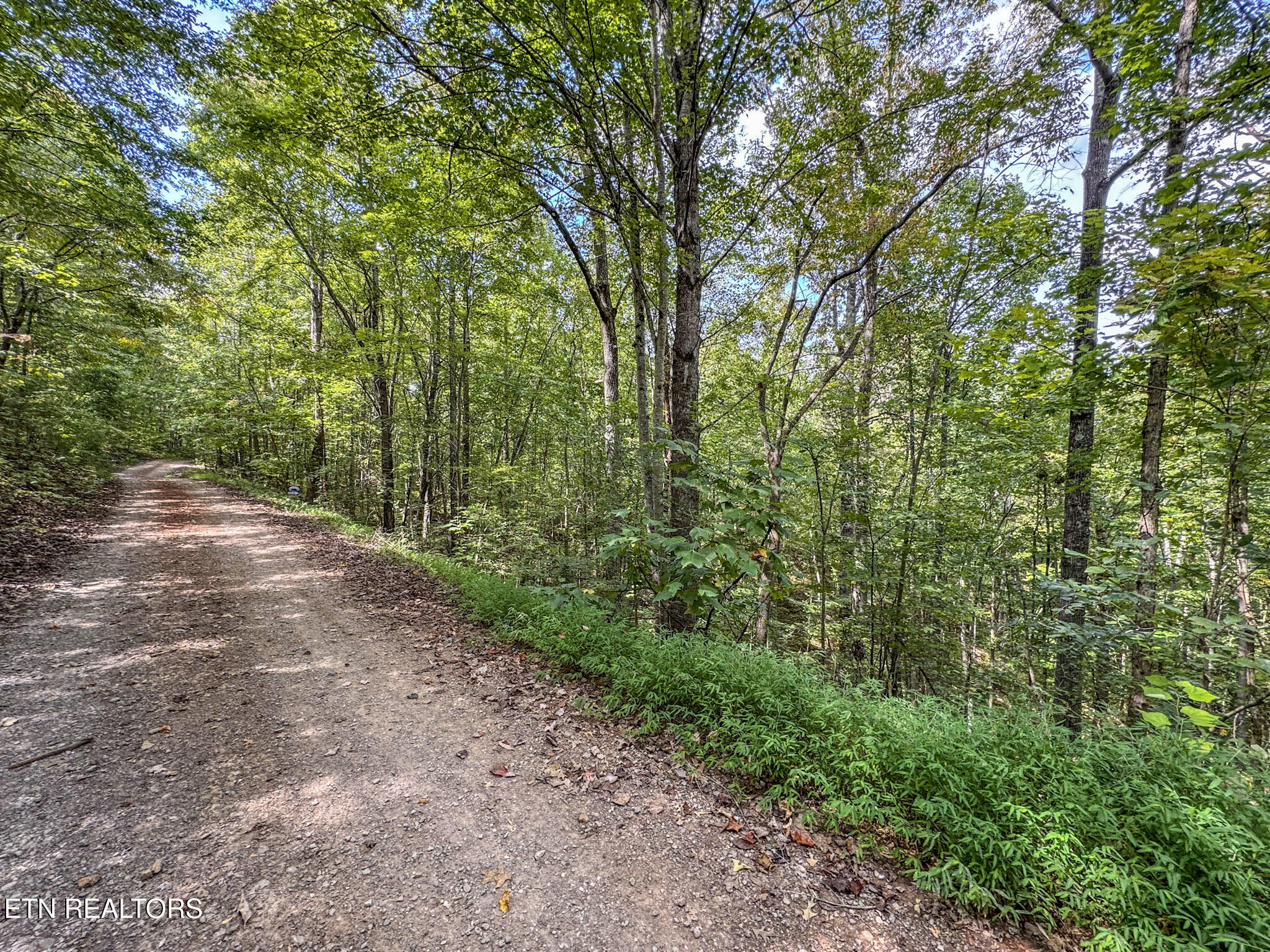552 New Providence Road Tellico Plains TN 37385