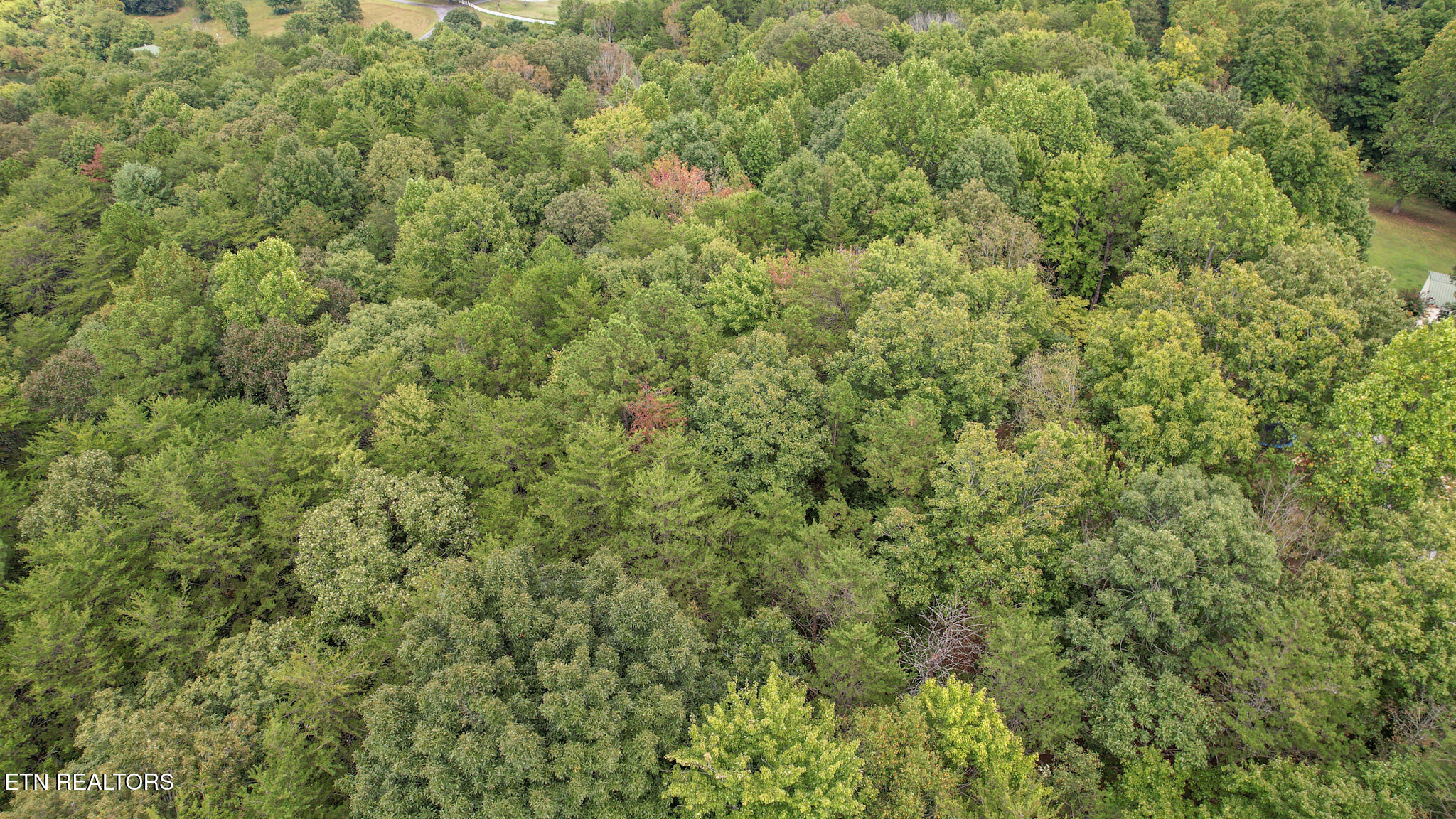 552 New Providence Road Tellico Plains TN 37385