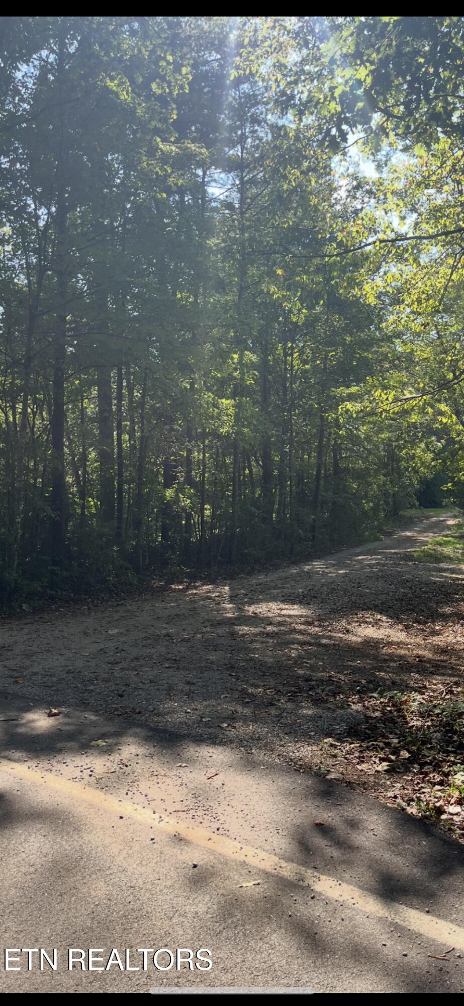 552 New Providence Road Tellico Plains TN 37385