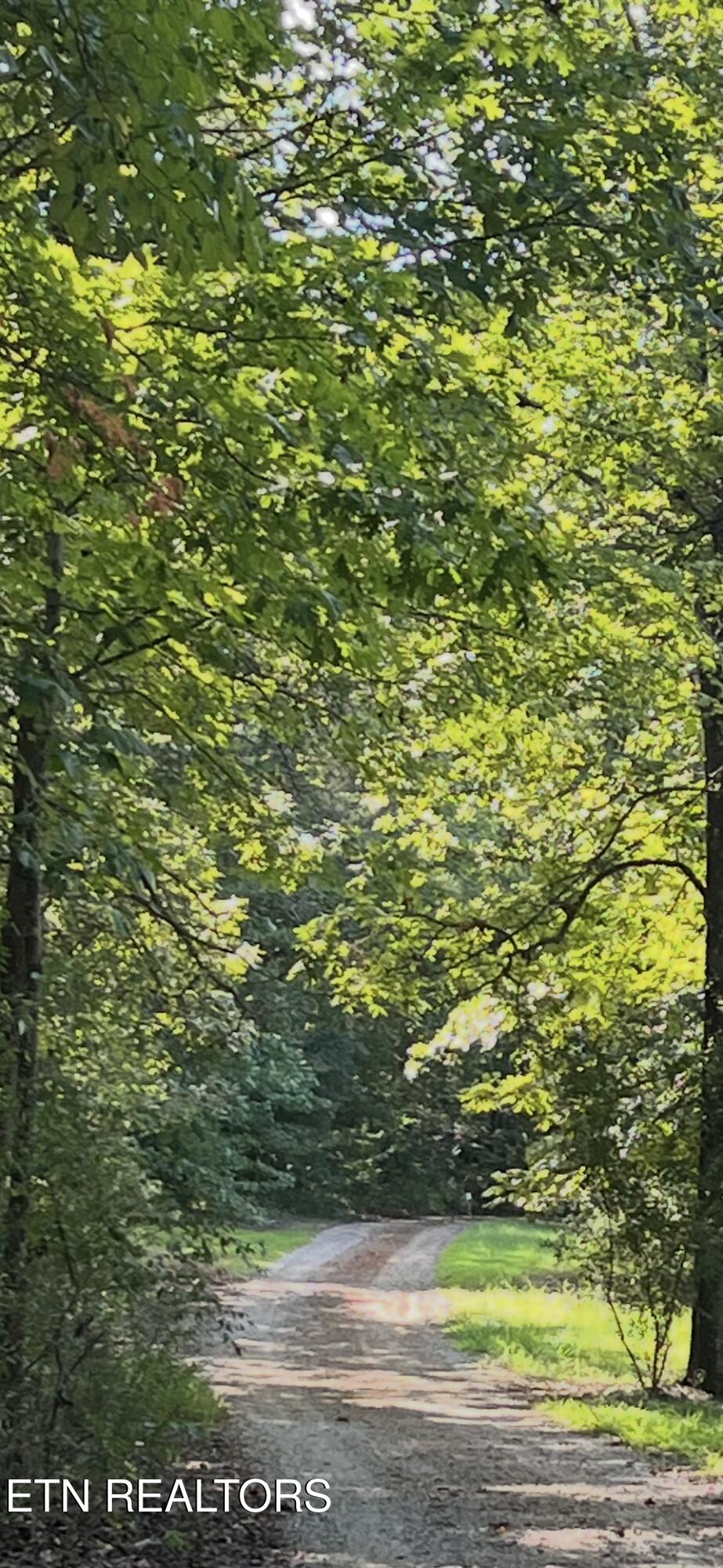 552 New Providence Road Tellico Plains TN 37385
