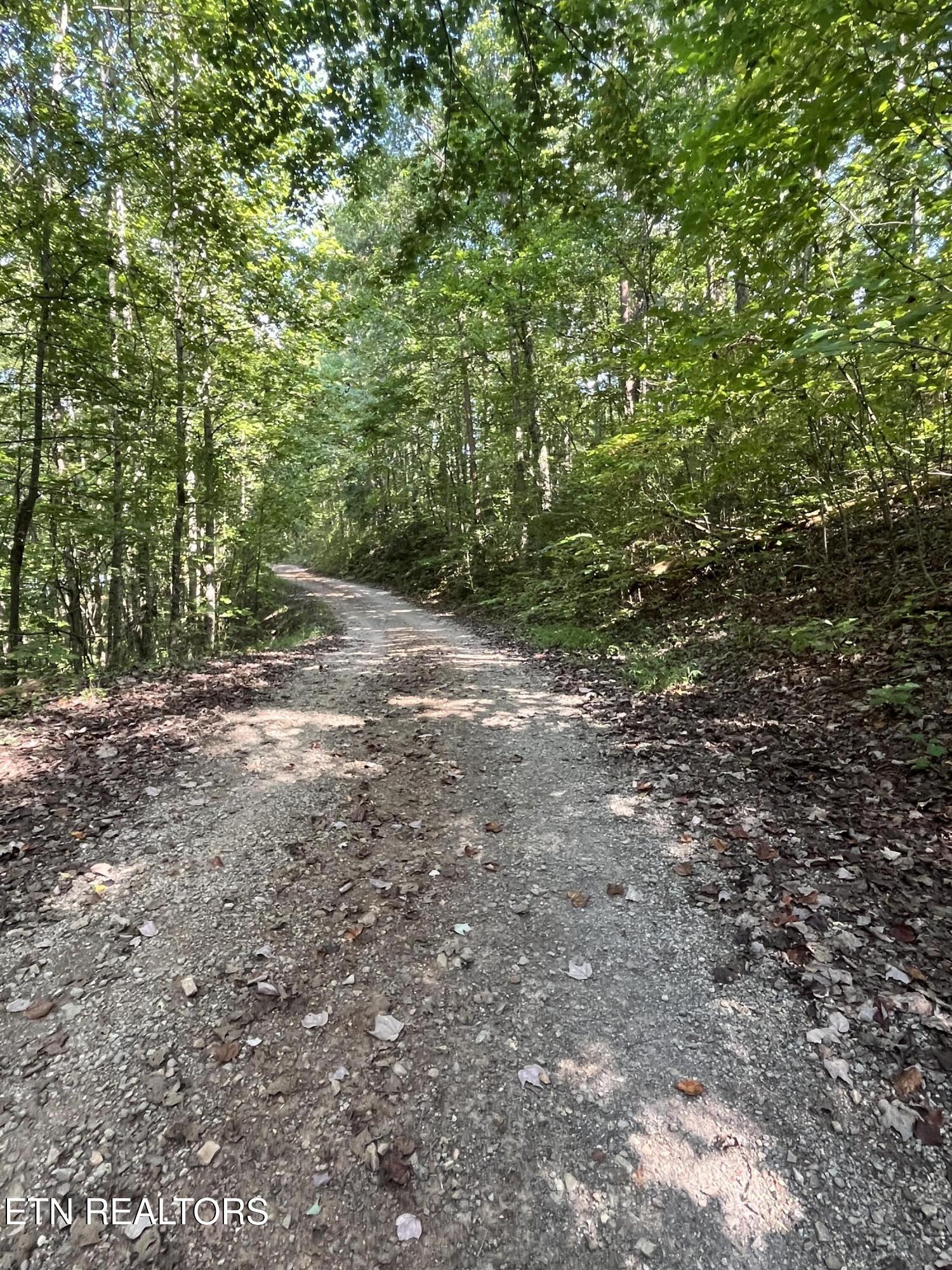 552 New Providence Road Tellico Plains TN 37385