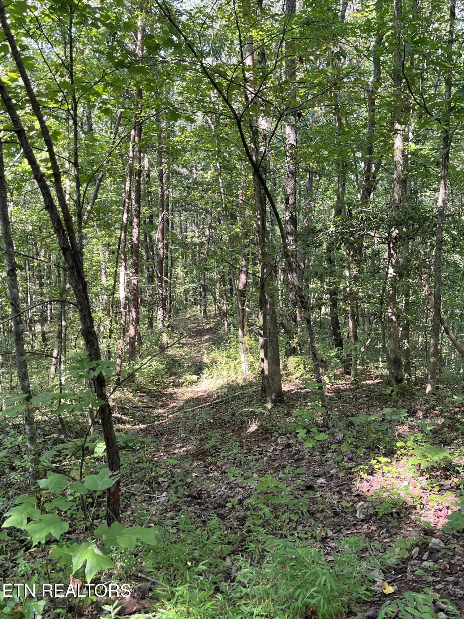 552 New Providence Road Tellico Plains TN 37385