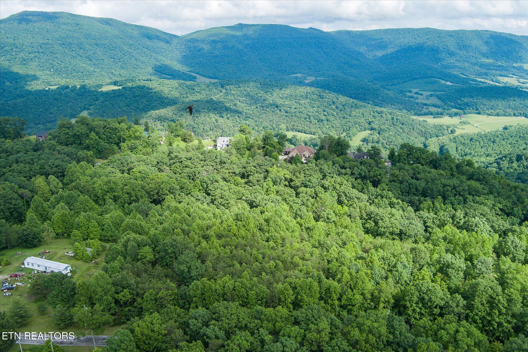0 Browns Gap Road Crossville TN 38555